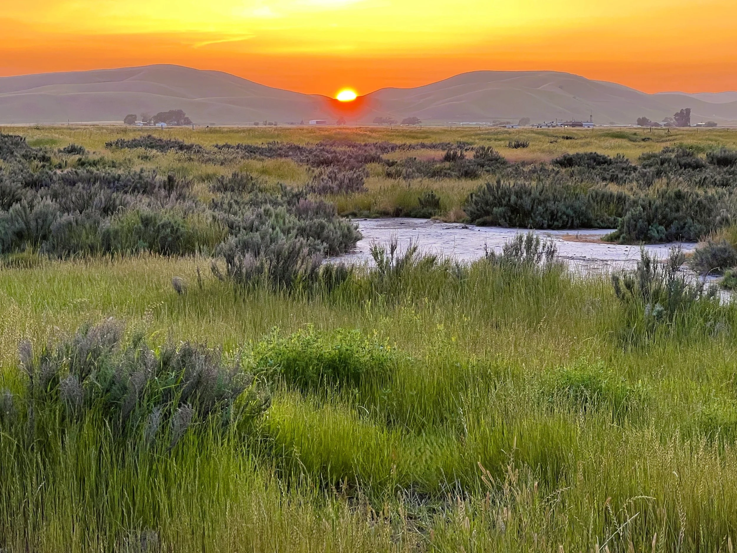 Sunset 1 at Springtown Wetlands by Markus Huber. 

Living in Livermore's Springtown we frequently take sunset walks along Altamont Creek. We love our edge-of-town location in Springtown.