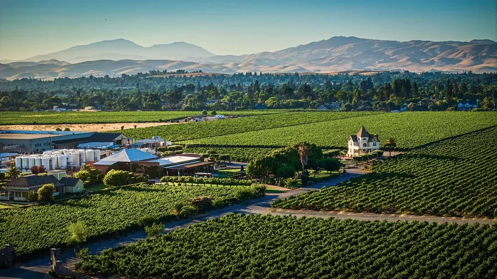 Historic Concannon Vineyard Awarded Replanting Loan from Tri-Valley ...