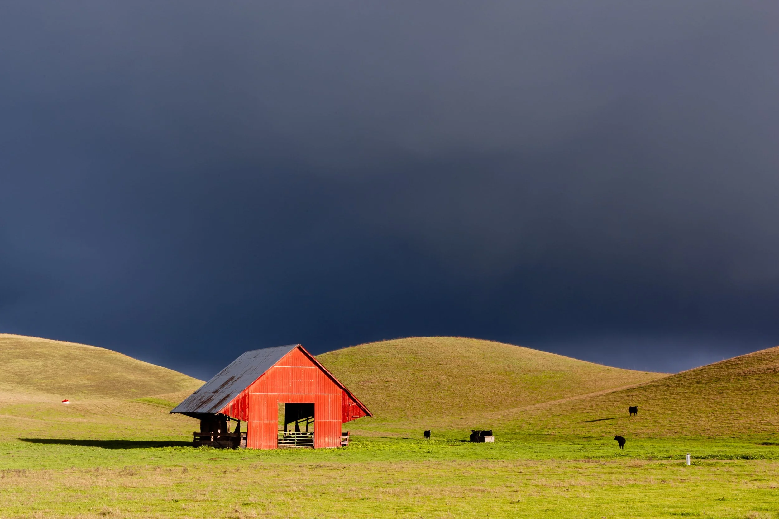 Manning Shed Sunlight by Nancy Wright

A small barn on Manning Road, Livermore, still being used for cattle. Sunlit on a stormy January day.