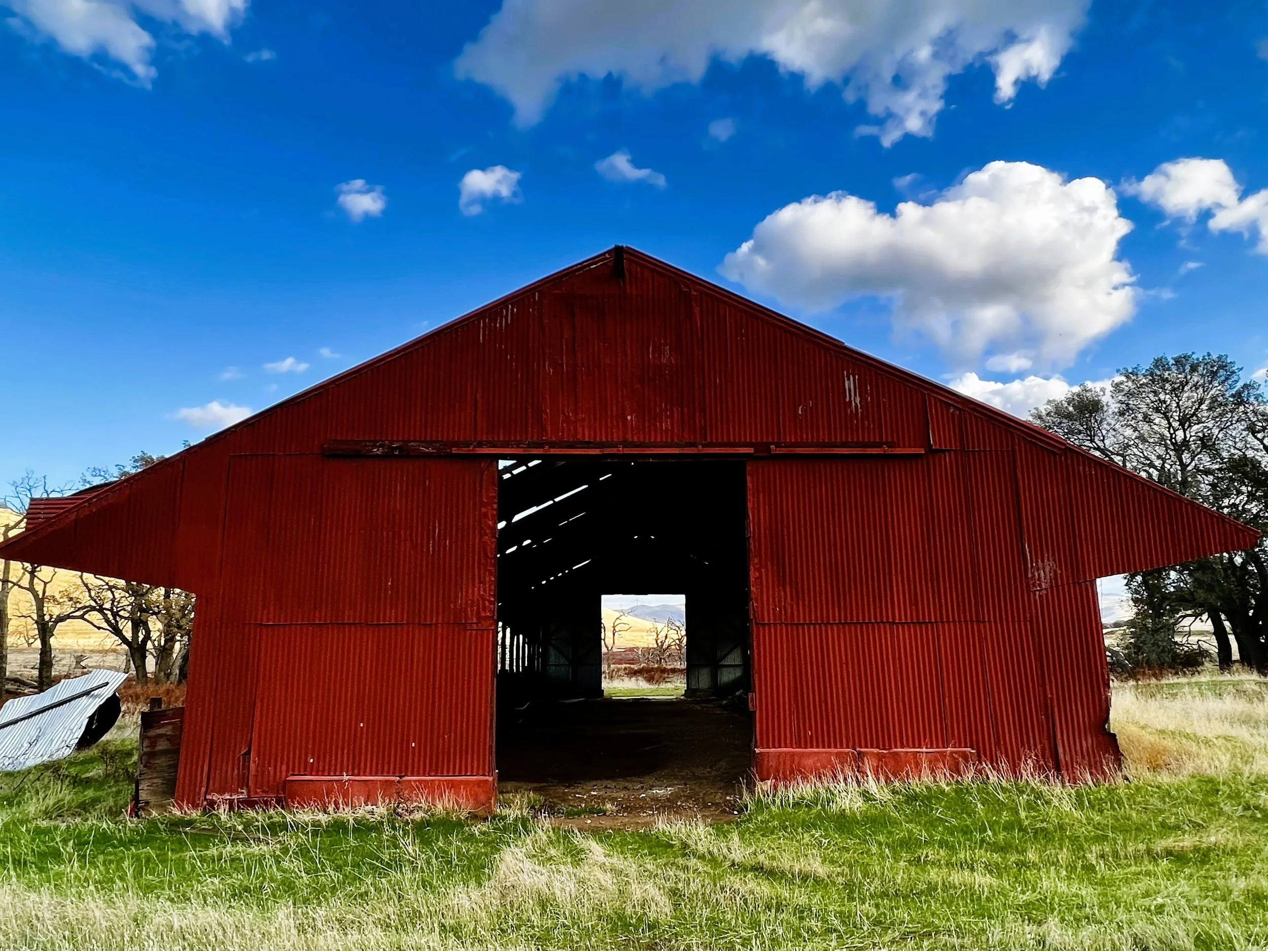 Owl Barn at Los Vaqueros by Markus Huber

We love this dilapitated red barn at Los Vaqueros reservoir. For years there was an owl living in it. This year the owl left the barn and now lives in an adjacent California Oak treek grove.