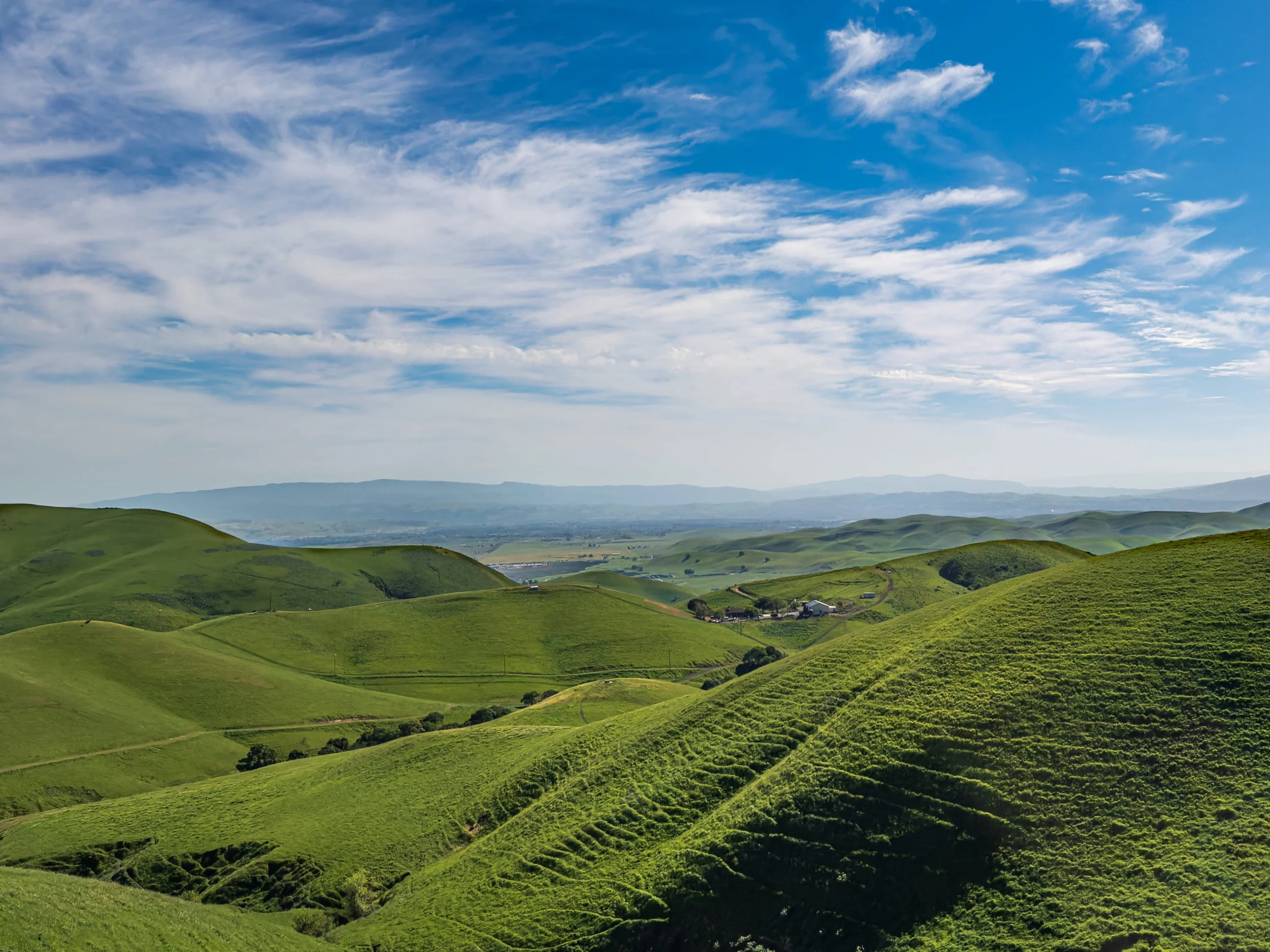 Green Season by Dhaval Kapil.

 This picture was taken from the Morgan Territory Road, Livermore. The road opens onto views like this for only a few weeks each spring. I'd driven the road before without stopping; this time I pulled over, and the hill