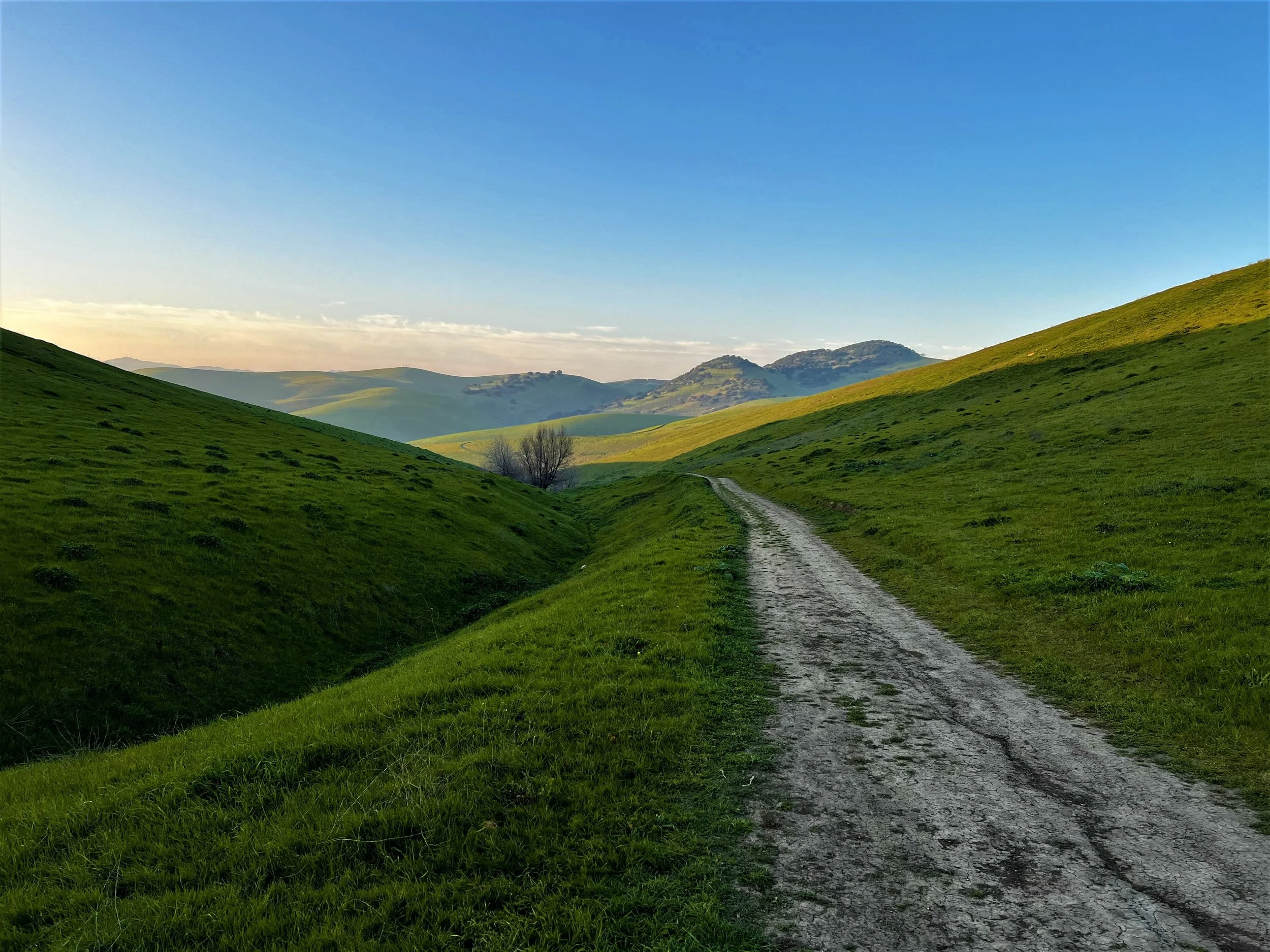 Laughlin Loop at Brushy Peak by Markus Huber 

Bushy Peak is almost in my backyard. We hike there yearround and love the daily scenery changes.