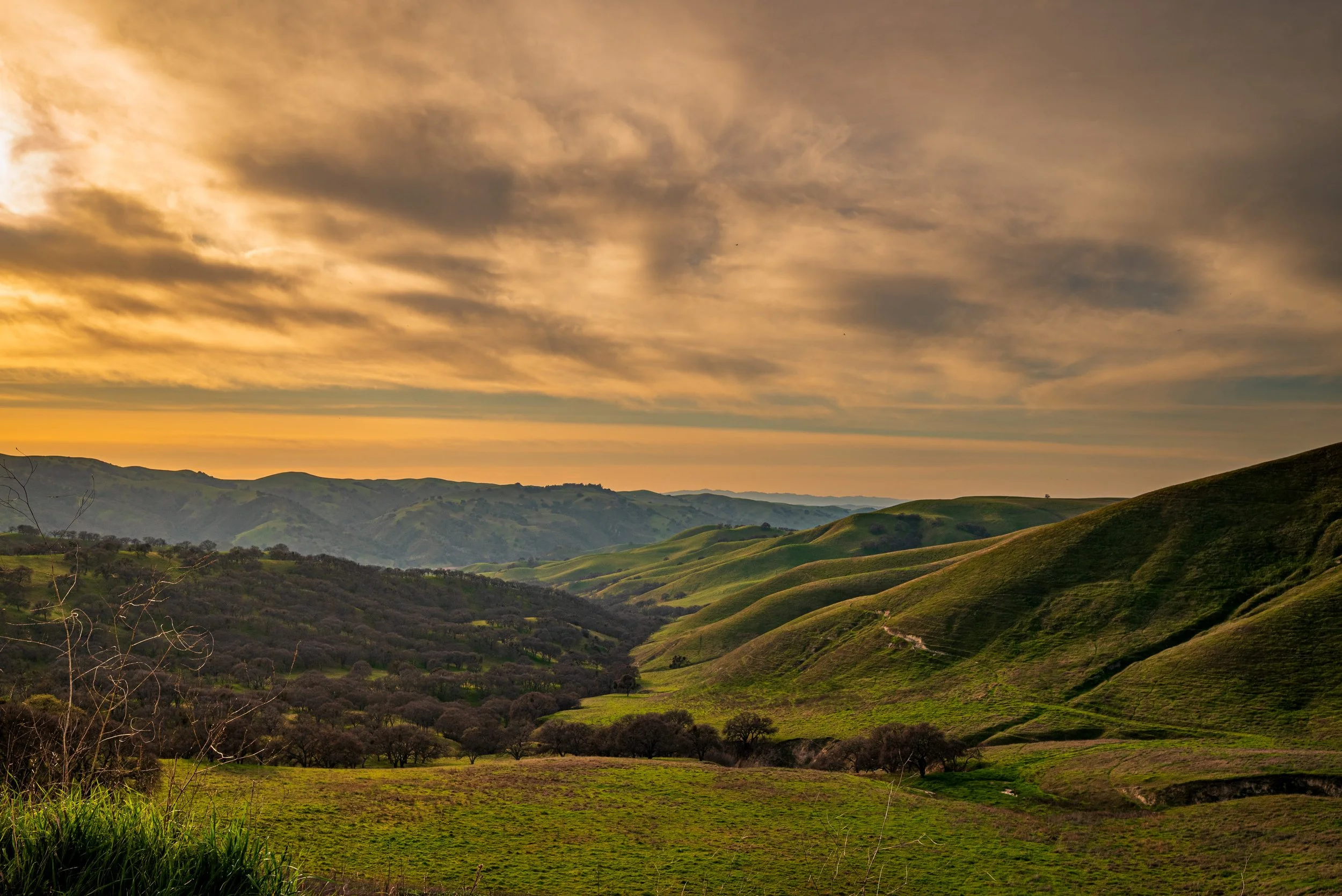 Glow Over Del Valle by Dhaval Kapil. 

This picture was taken at the entrance/exit of the Del Valle Ridge Trail, Livermore. Wife and I’d hiked out to this overlook and came across warm clouds piling up across the valley while the hills below were pea