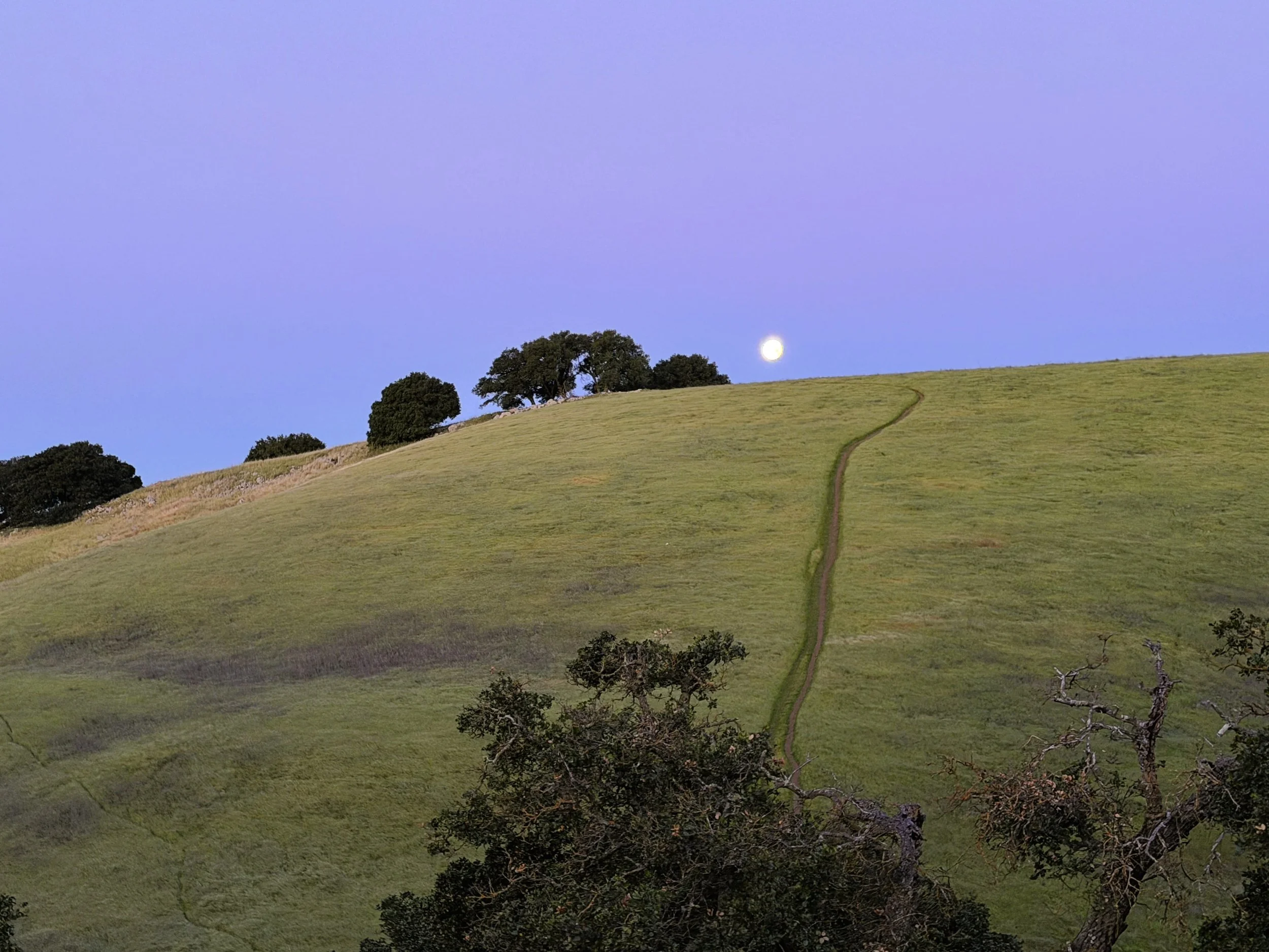 Setting Moon at Brushy Peak by Markus Huber.

 We have a tradition of hiking up Brushy Peak to hit the sunrise at the very top on Good Fridays. This year the Sun rose in the east at the same time that the moon set in the west.