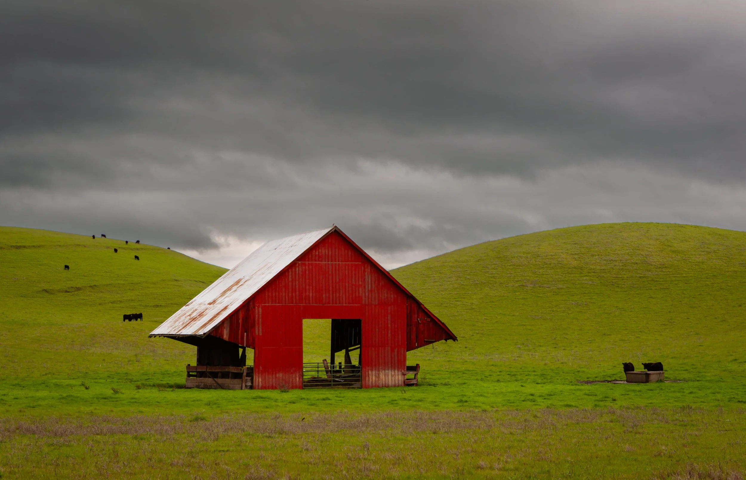 Manning Shed by Nancy Wright 

Small barn on Manning Road, Livermore, during springtime. Always enjoy these pastoral scenes still in the Bay Area.