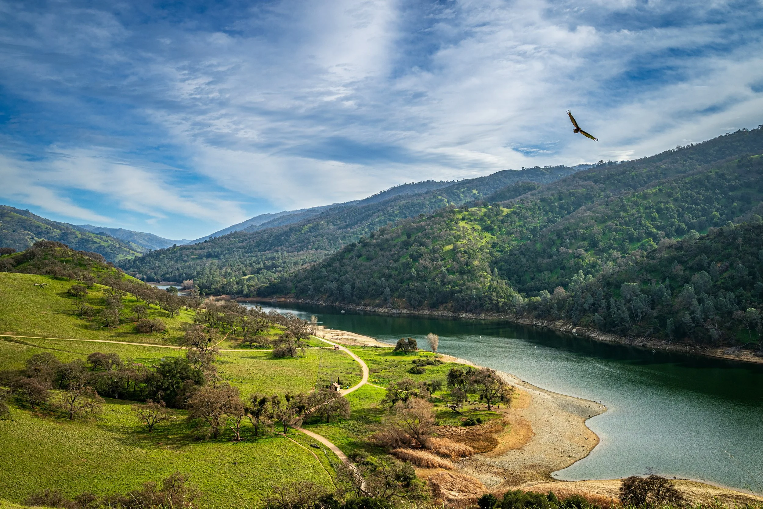 Lake Del Valle by Dhaval Kapil.

 This picture was taken at the Del Valle Lake. Wife and I had hiked up to the overlook, hoping for a view, and got a vulture circling on top of it. The lake and hills were looking beautiful. I hope it pushes someone t