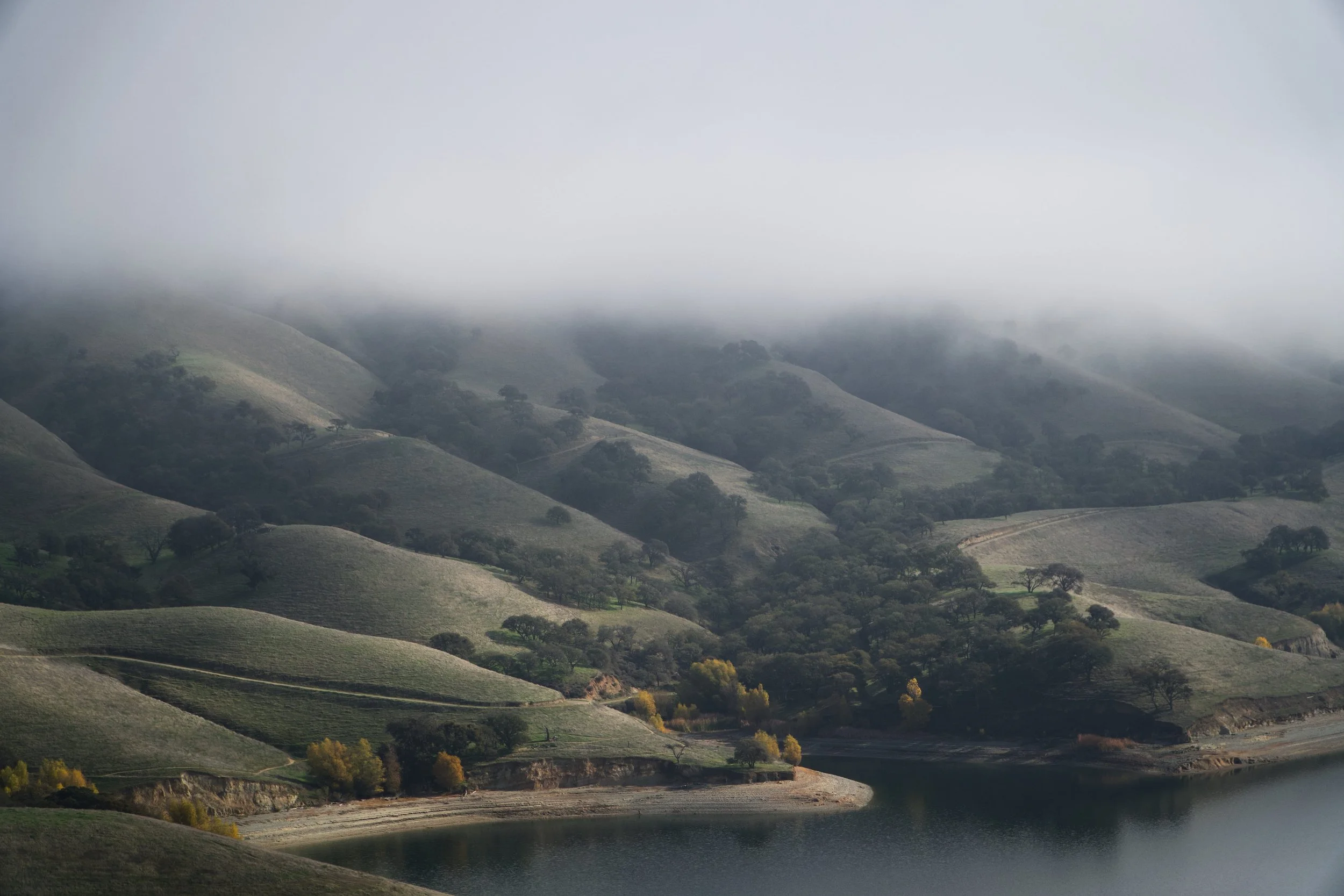 Foggy Morning by Spencer DeMera, 

on Lake Del Valle