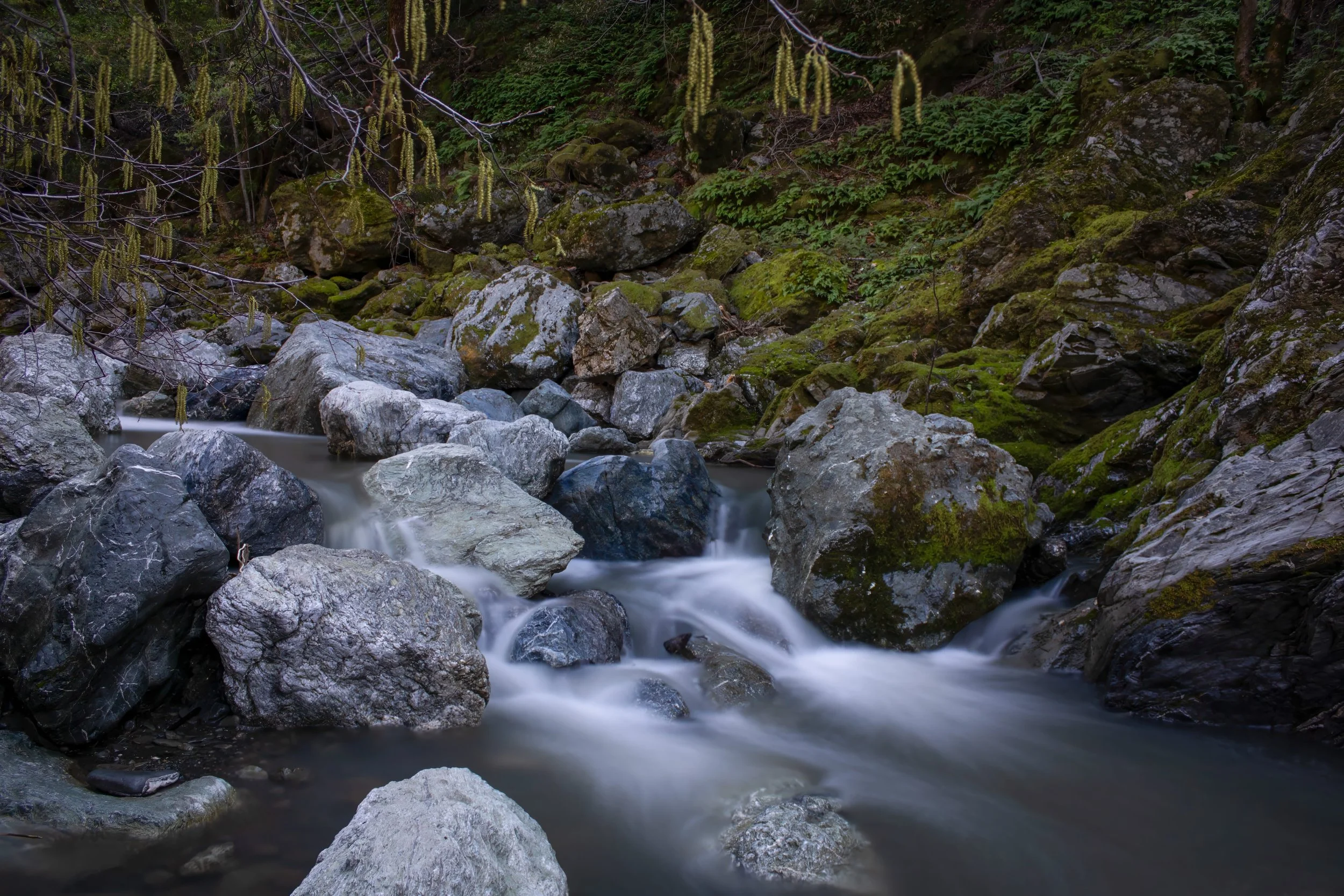 Alameda Creek by James McCabe 

Tranquility. Alameda Creek at "Little Yosemite", Sunol Regional Wilderness.
