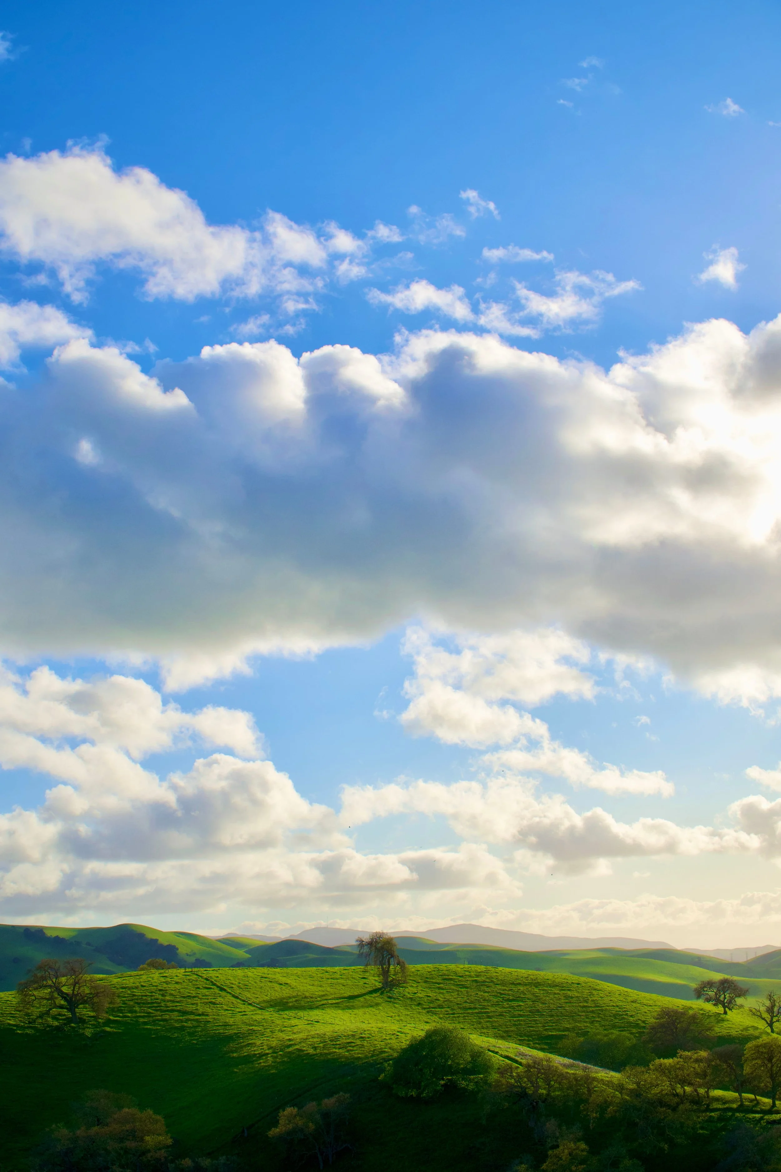 Golden Hour Spring Time in Livermore by Spencer DeMera