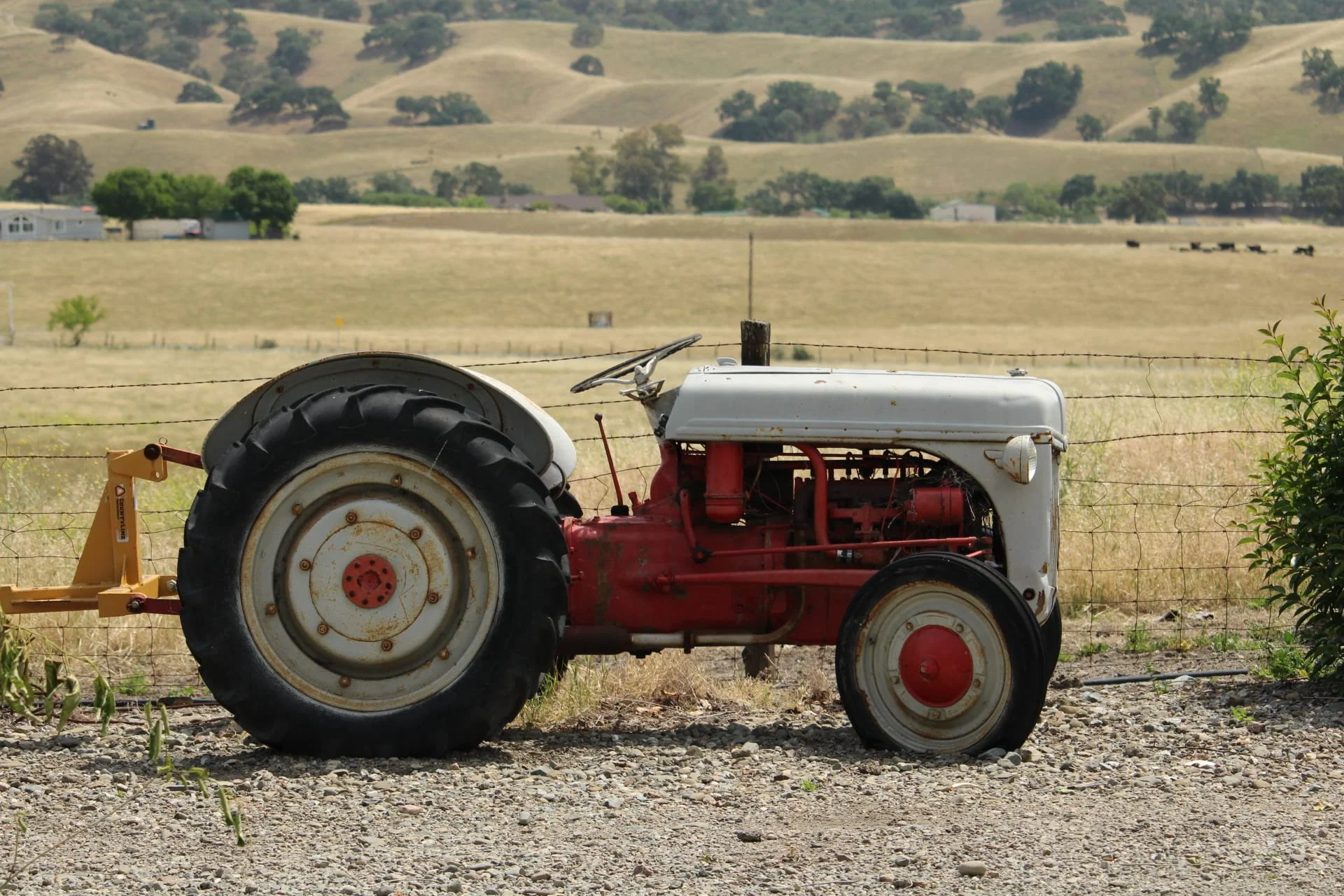 Old Tractor on Ranch by Brooke Harris 

This was taken at our family ranch off of cross road in East of Livermore in late Spring 2026. I like the setting of the tractor overlooking the other ranches.