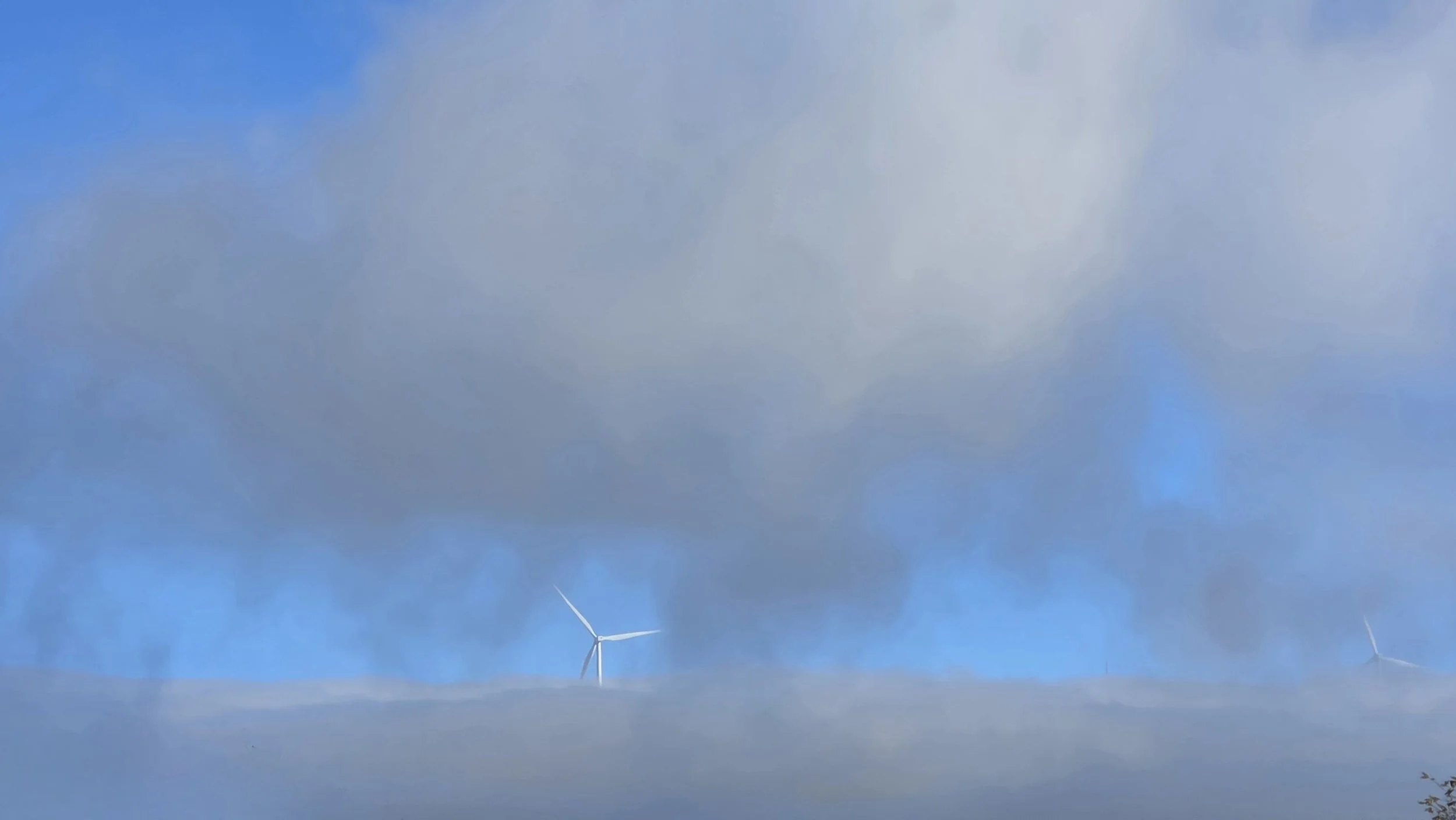 Windmill Livermore Hills by Michelle Mitchell - 
This was taken from the end of our court in Livermore , east, on a beautiful foggy morning. 