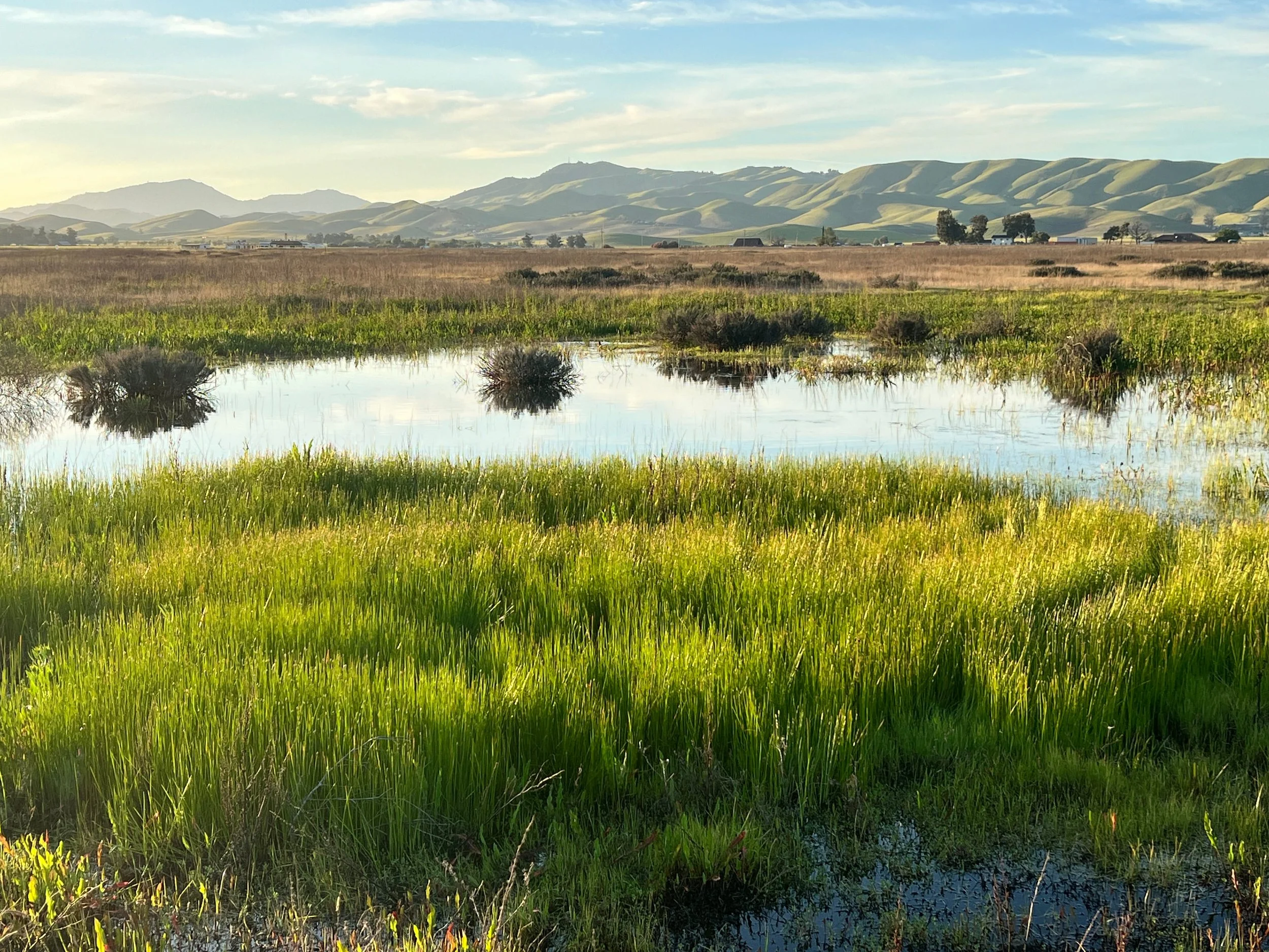 Morgan Territory & Mt. Diablo 2 by Markus Huber 

Heavy rainfalls last spring created these unusual vernal pools in Livermore's Springtown.
