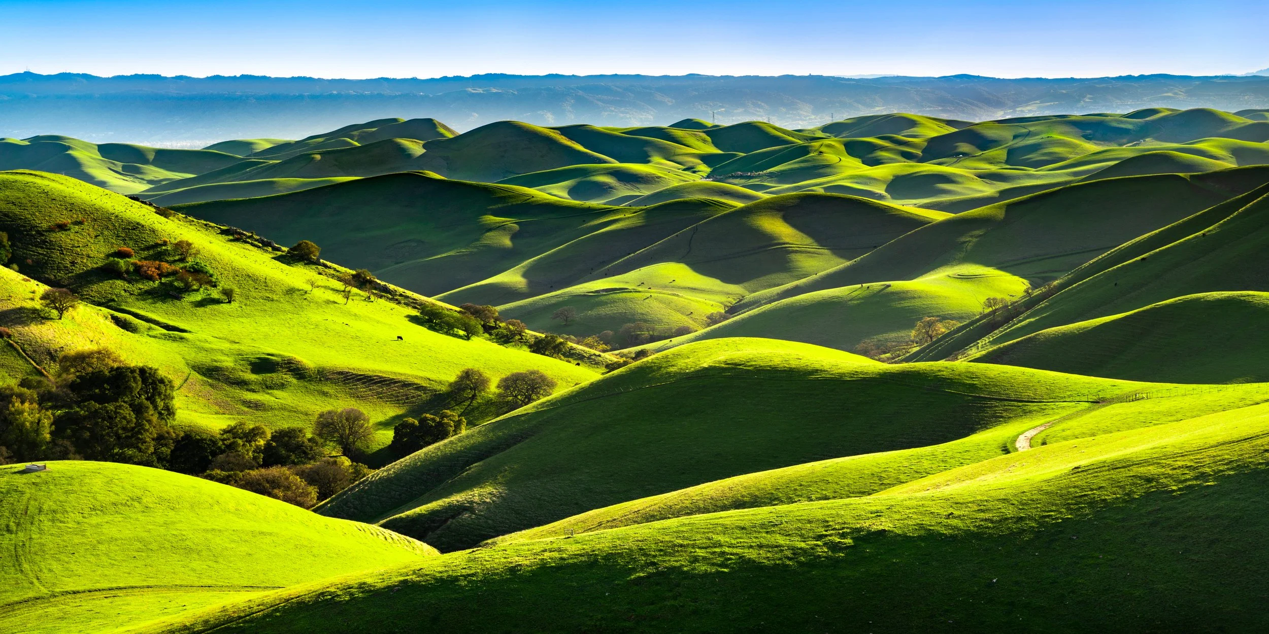 .Springrolls by Josh Dye.

 The perfect spring day in 2021 over the rolling hills of Morgan Territory.