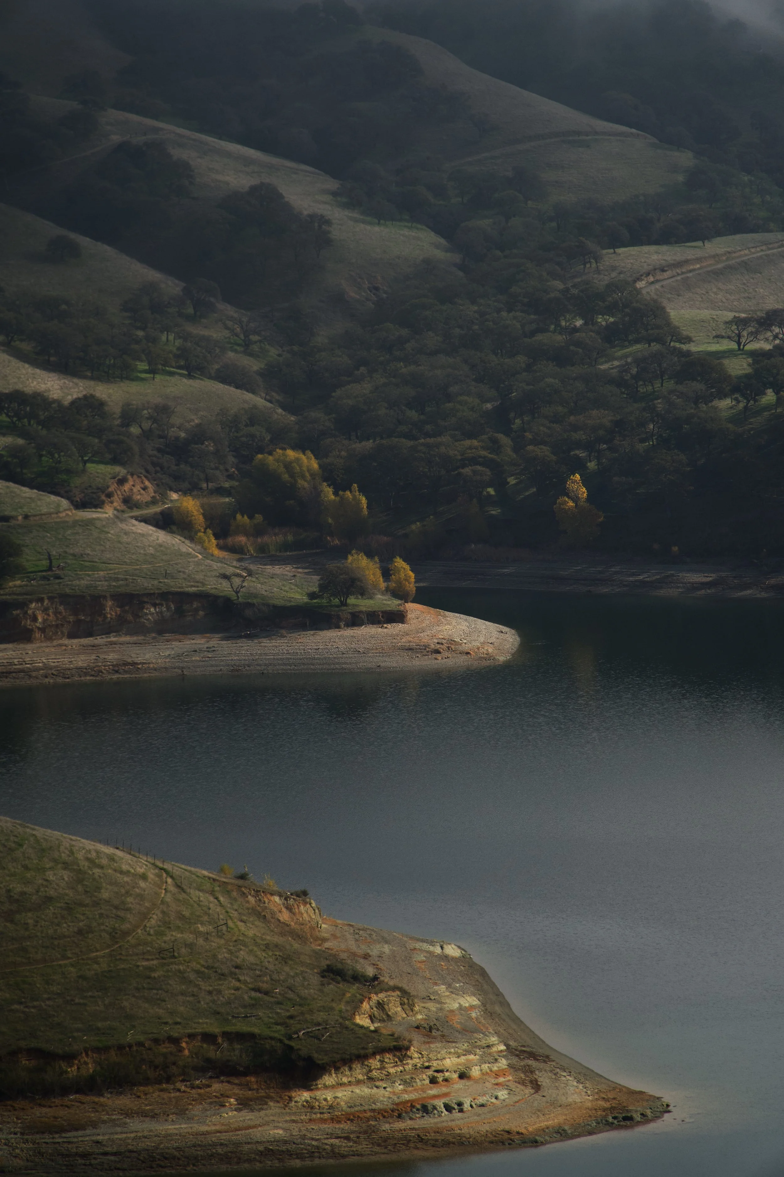 Spots of Morning Light by Spencer DeMera, 

on Lake Del Valle