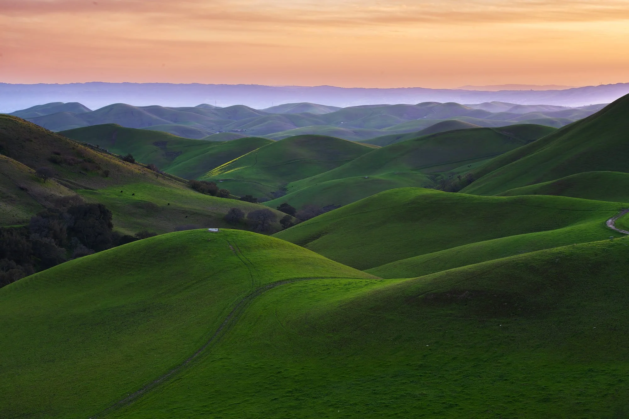 Spring Rolling Hills  by Jay Huang.  

Sunset at Spring Rolling Hills when the tri-valley at its best green.