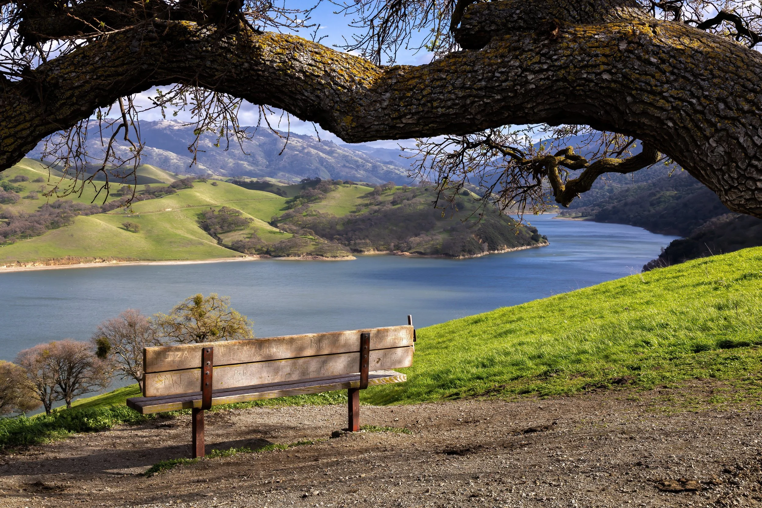 Bench by Anna Rouse. 

The bench at the top of the hill at Lake Del Valle. Always a nice spot to rest after a long time