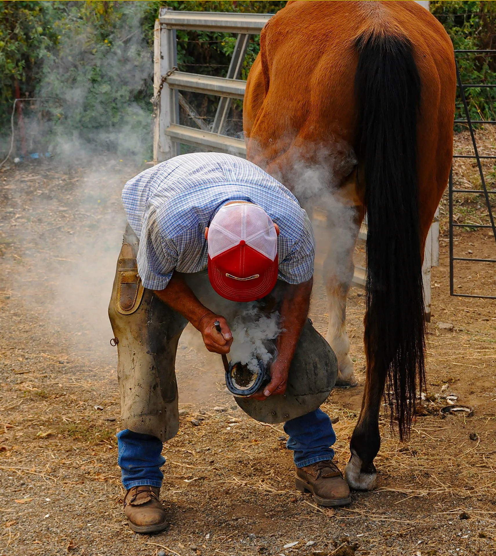 Horseshoe	by Richard Finn 

It’s incredible to watch the smoke curl up as the red-hot shoe meets the hoof. The man works with such steady, practiced hands, and the horse is just a total pro, standing perfectly still through the whole process. There’s