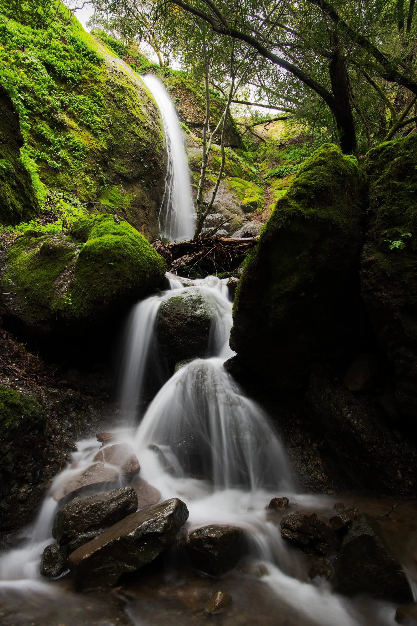 Water Falls in Pleasanton by Jay Huang
 
Water Falls in Pleasanton area during the Spring Time