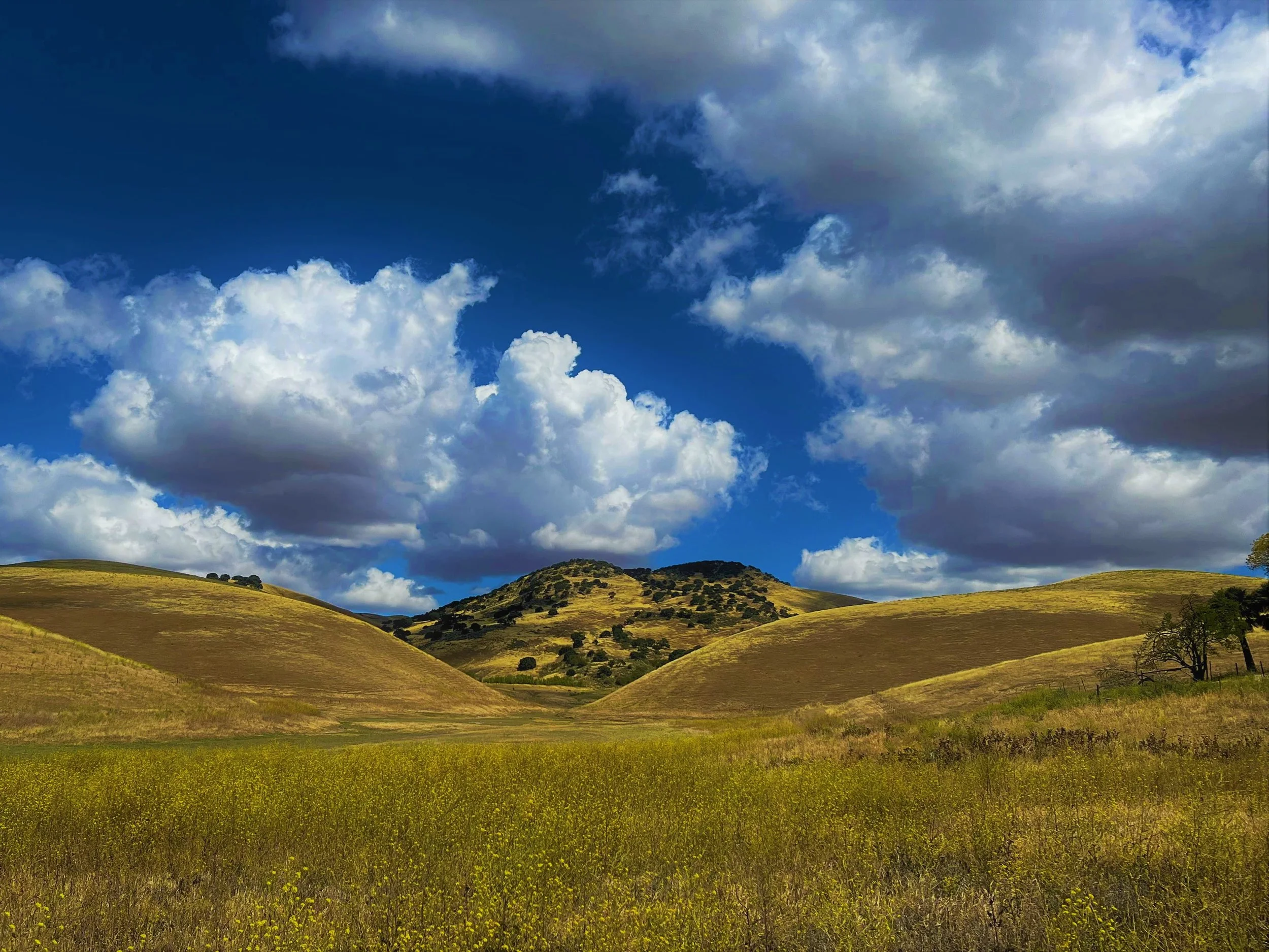 Clouds over Brushy Peak by Markus Huber 

Bushy Peak is almost in my backyard. We hike there yearround and love the daily scenery changes.