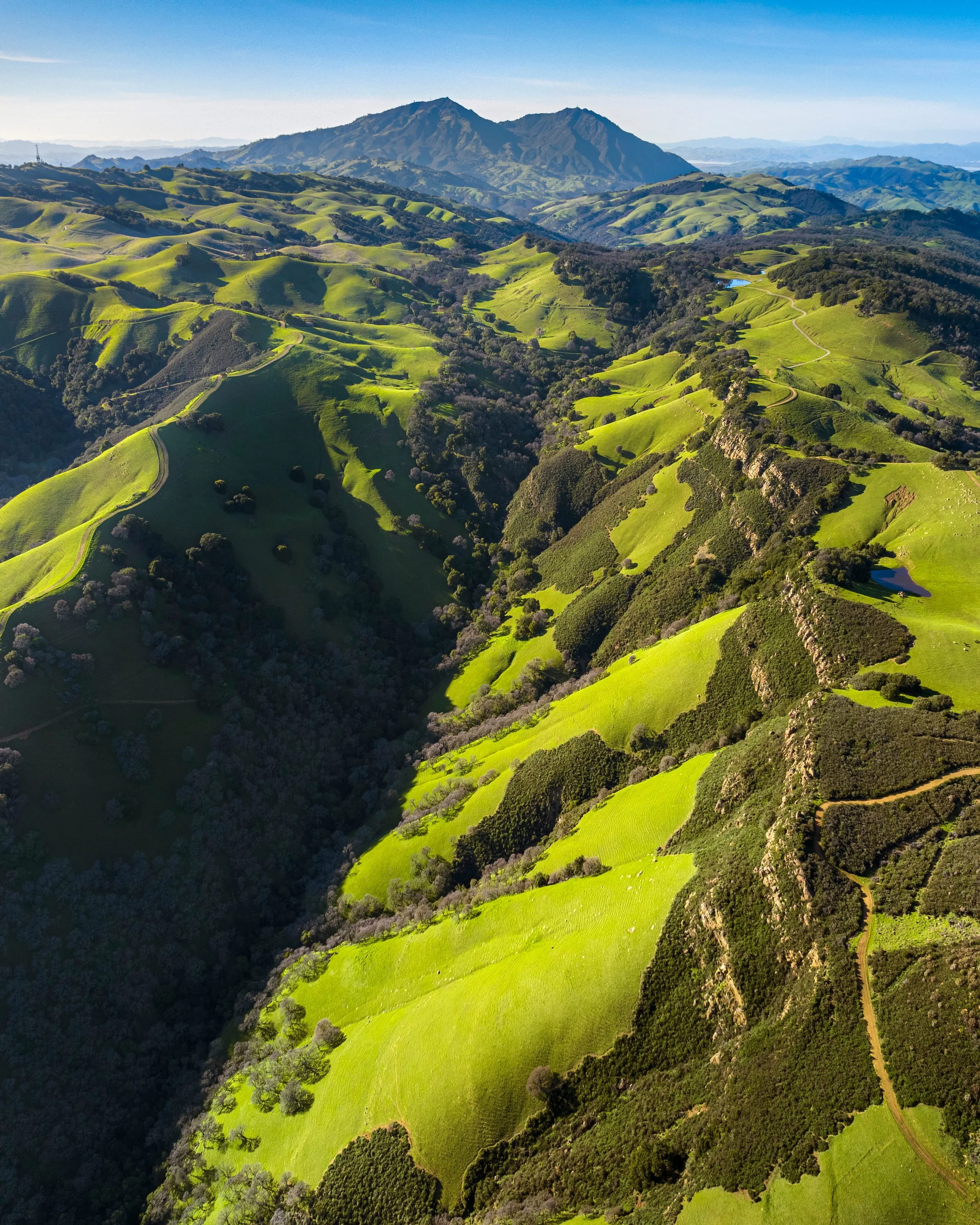 Spring Magic by Josh Dye. 

This photo was taken over Morgan Territory a few years ago in the peak of our greenest months. I love this tucked away canyon that perfectly composes Mount Diablo in the distance and the conditions on this day were perfect