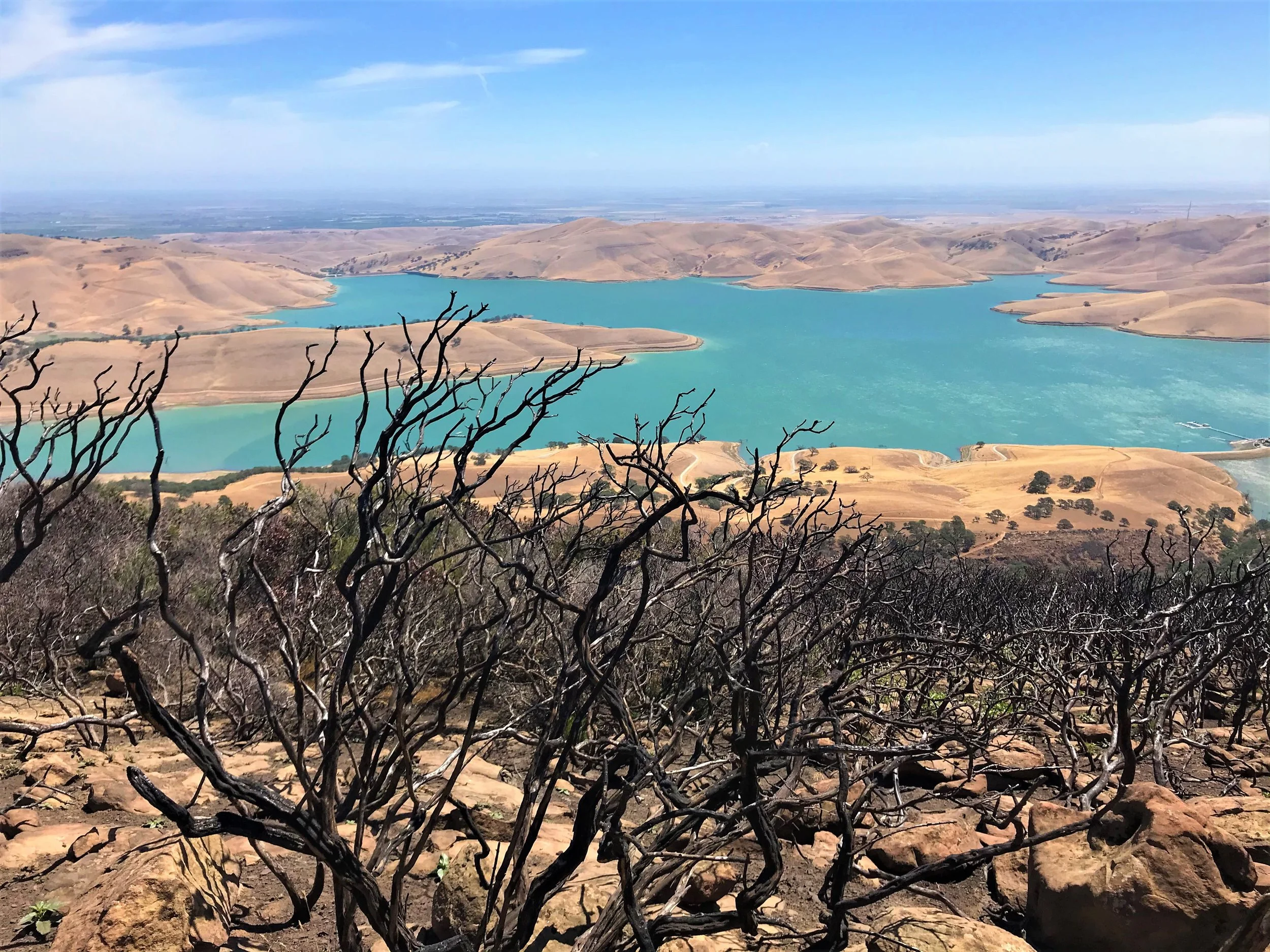 Los Vaqueros after Wildfire by Markus Huber 

This is from the burned hillside at Morgan Territory looking down on Los Vaqueros reservoir. I love the contrast of the charred branches with the blue water.