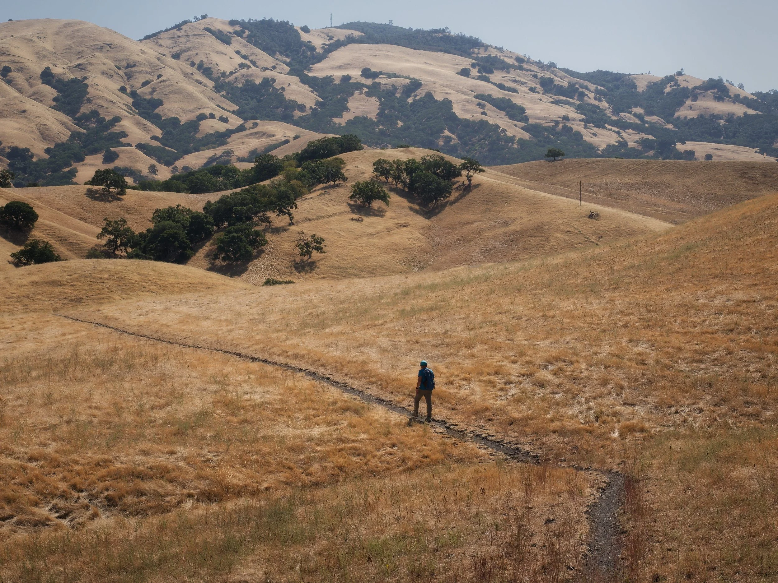 Midday Hike by Ramon Arellano II. 

 Midday Hike in the Valley. Taken along the foothills of Mt. Diablo.
