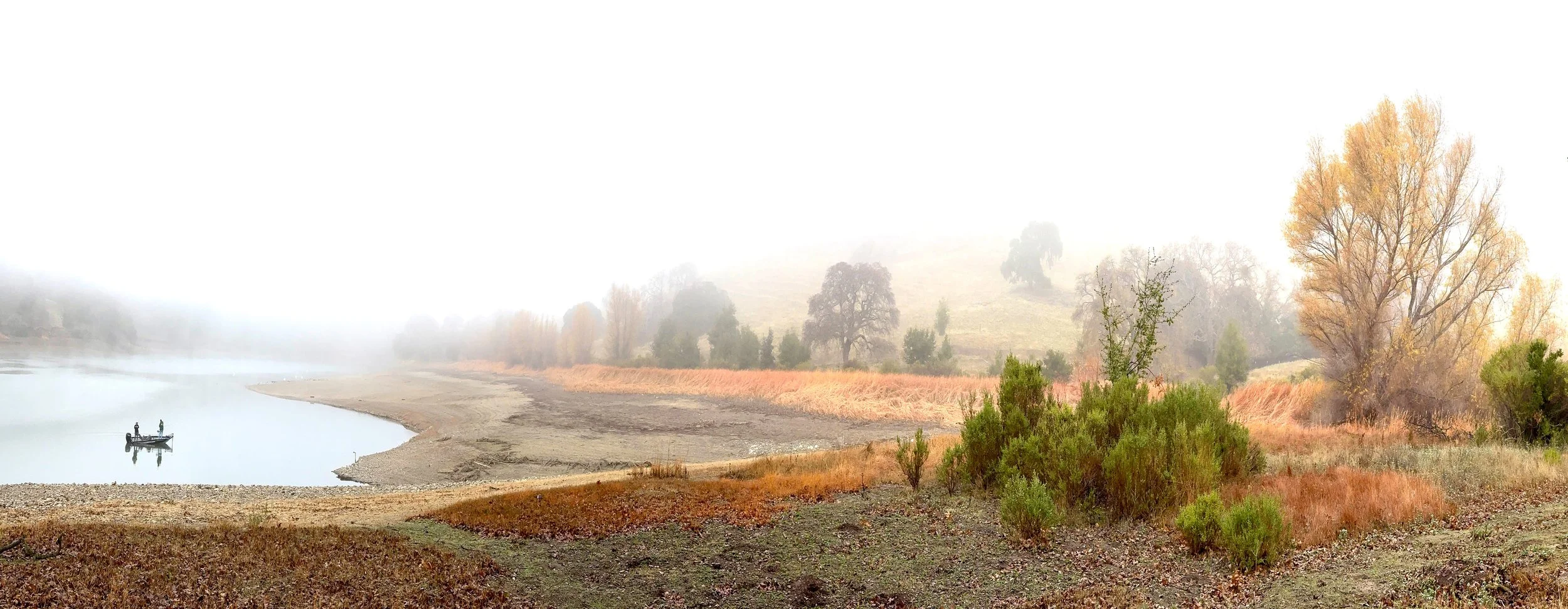 Del Valle Foggy Panorama by Barbara Mallon

 I walked on a foggy morning at Delvalle lake. This is a iPhone panorama.
