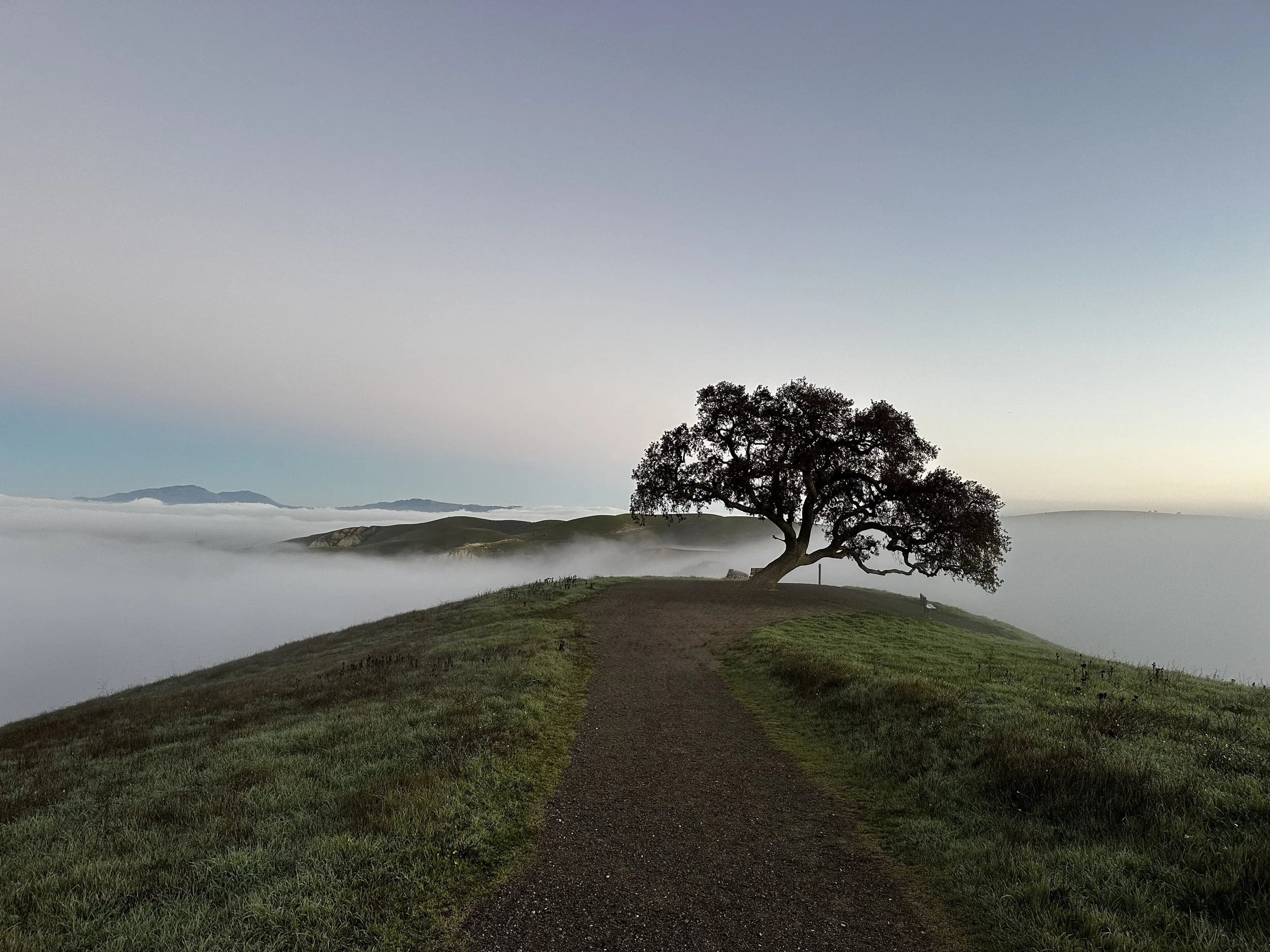 Between the Clouds by Dean Simpson 

Walking between the clouds near Lake Del Valle.