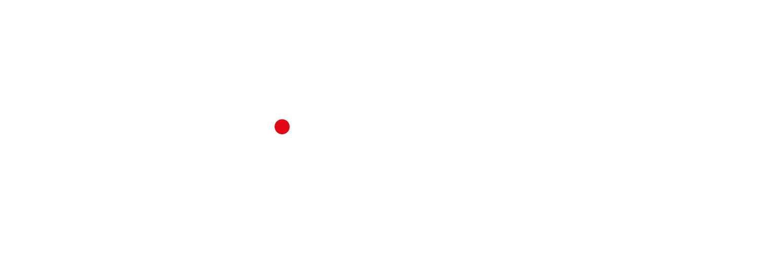 LISSSD 2025