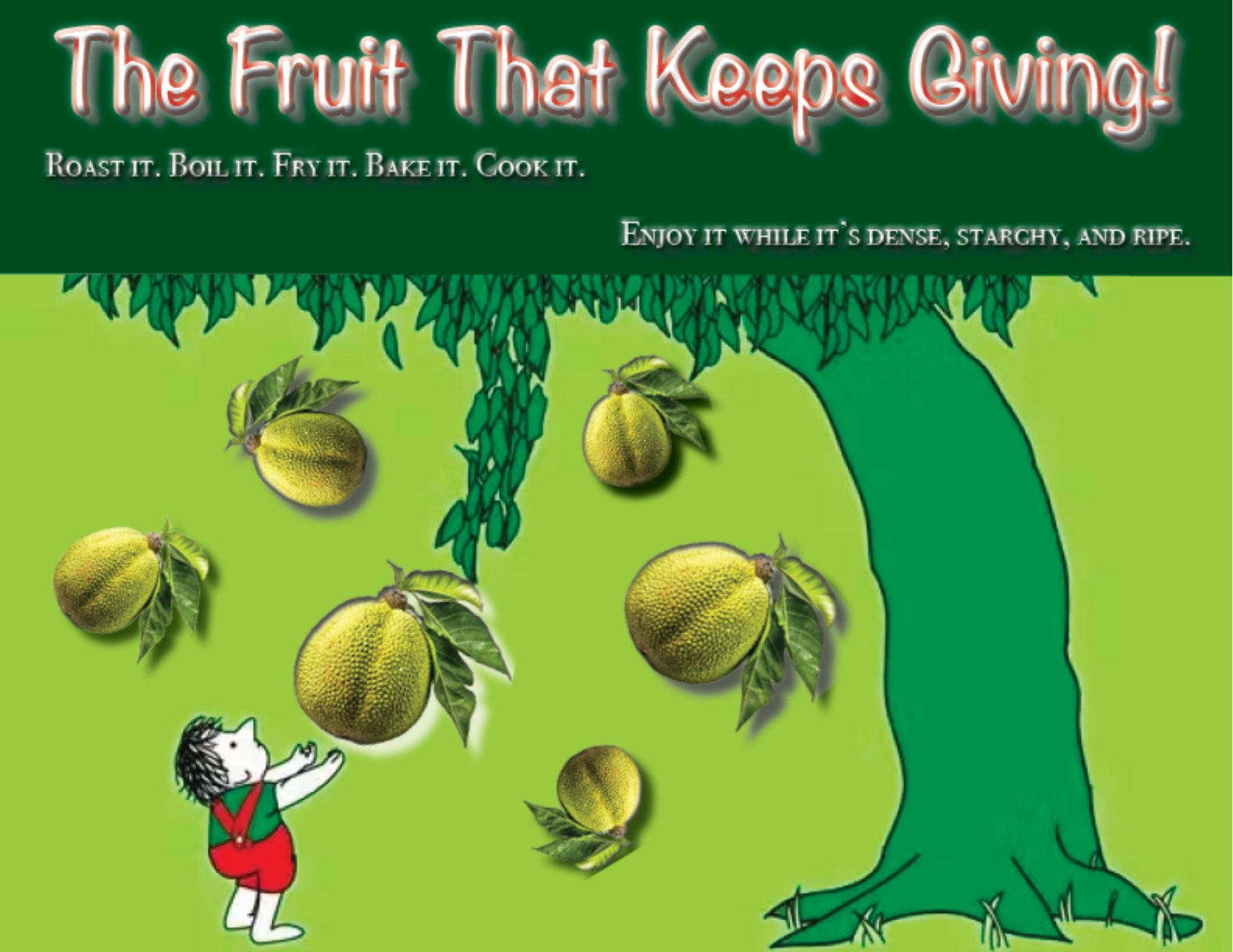 Breadfruit