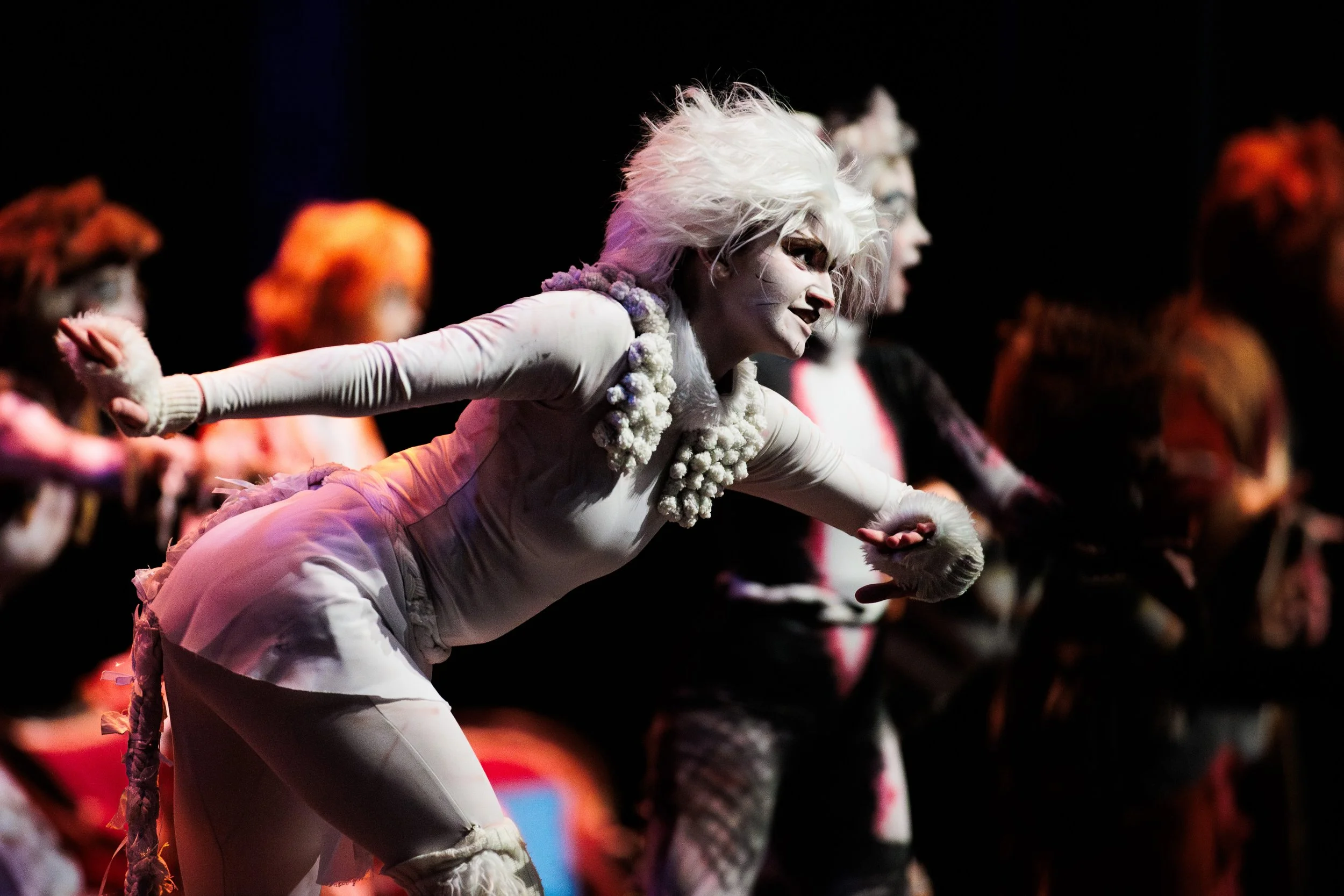 Photo by JB Bilbrey