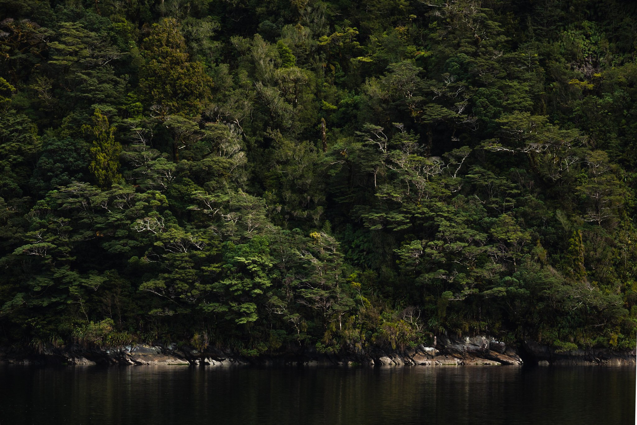 Tim Proctor Photography