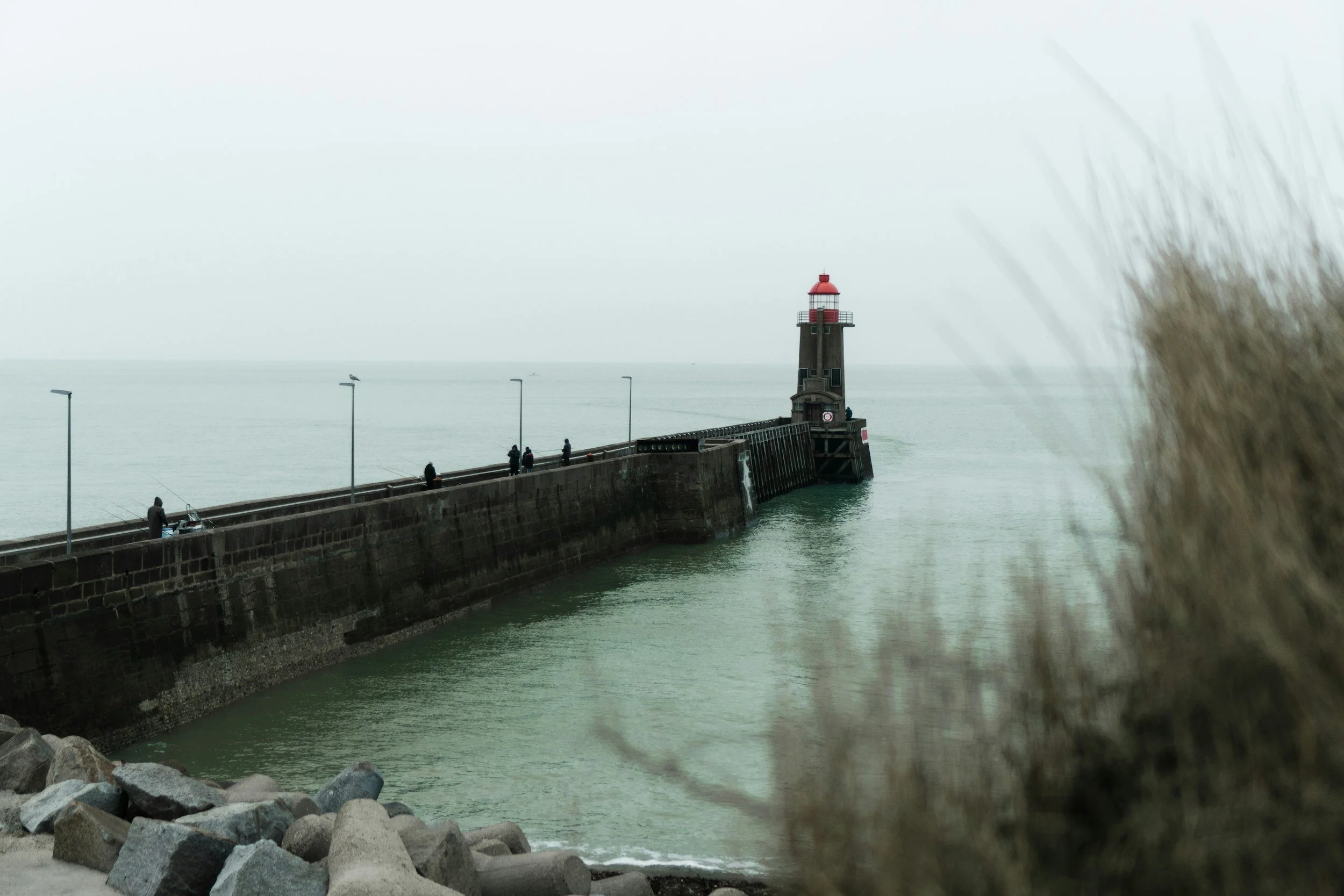 From a Safe Harbor to an Open Sea: Finding Your People