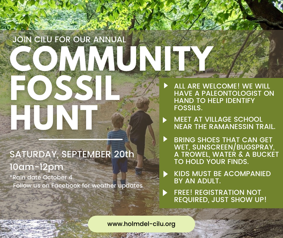 Fossil Hunt on the Ramanessin Brook