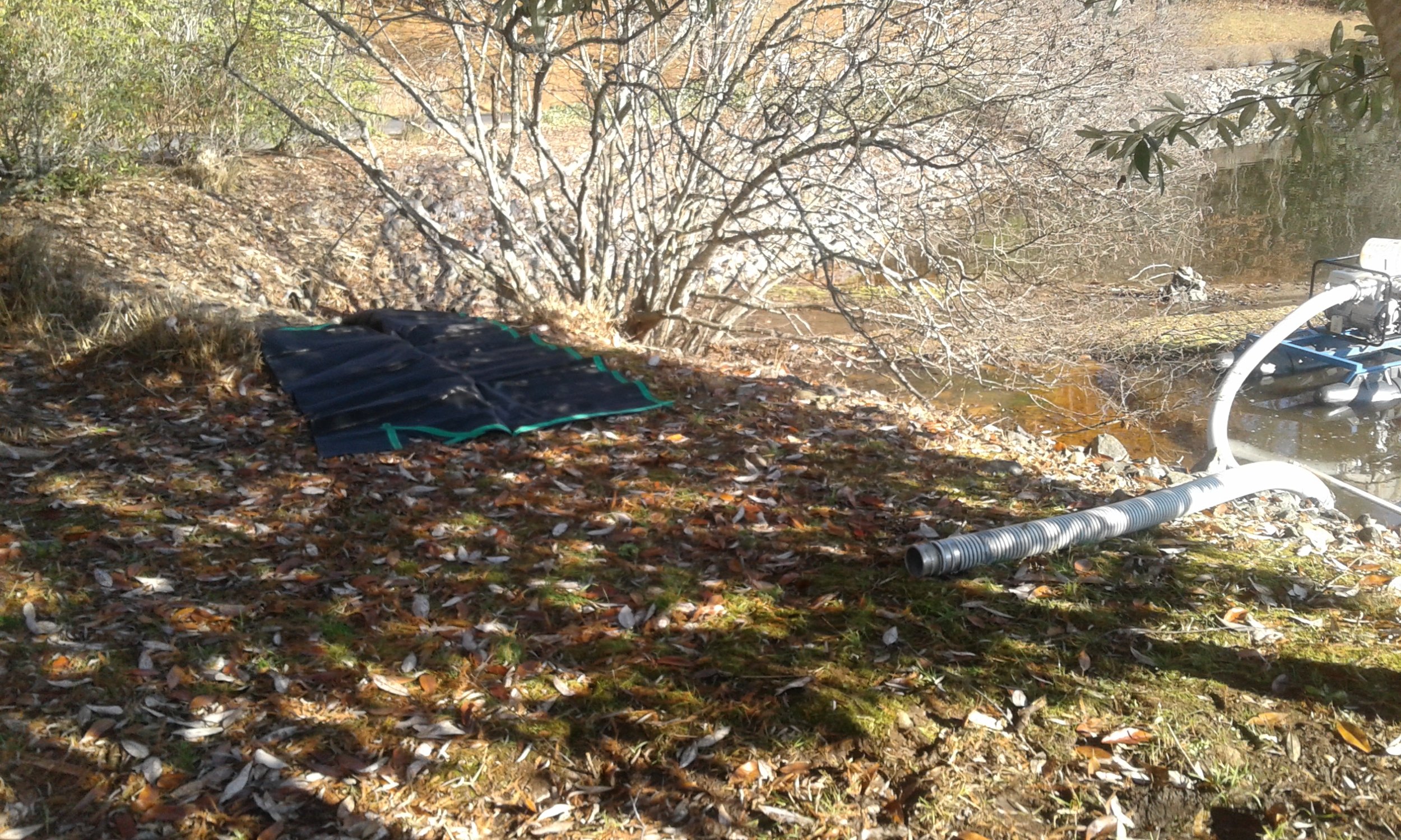 20171204_100519.jpg