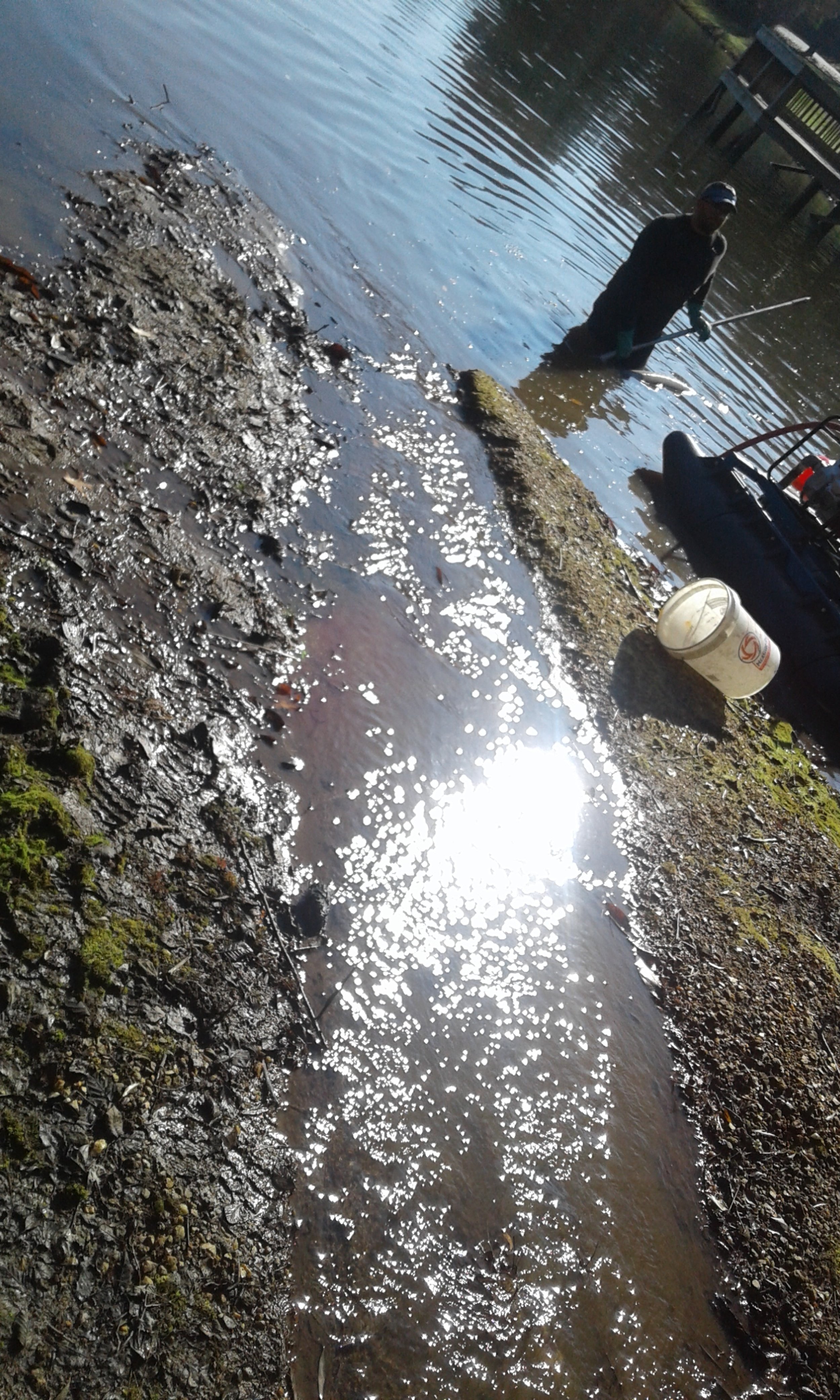 20171204_105131.jpg