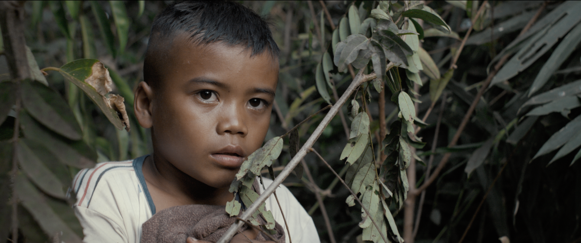 A young boy with short dark hair and tan skin holds a leafy branch in front of dense green foliage, looking directly at the camera with a serious expression.