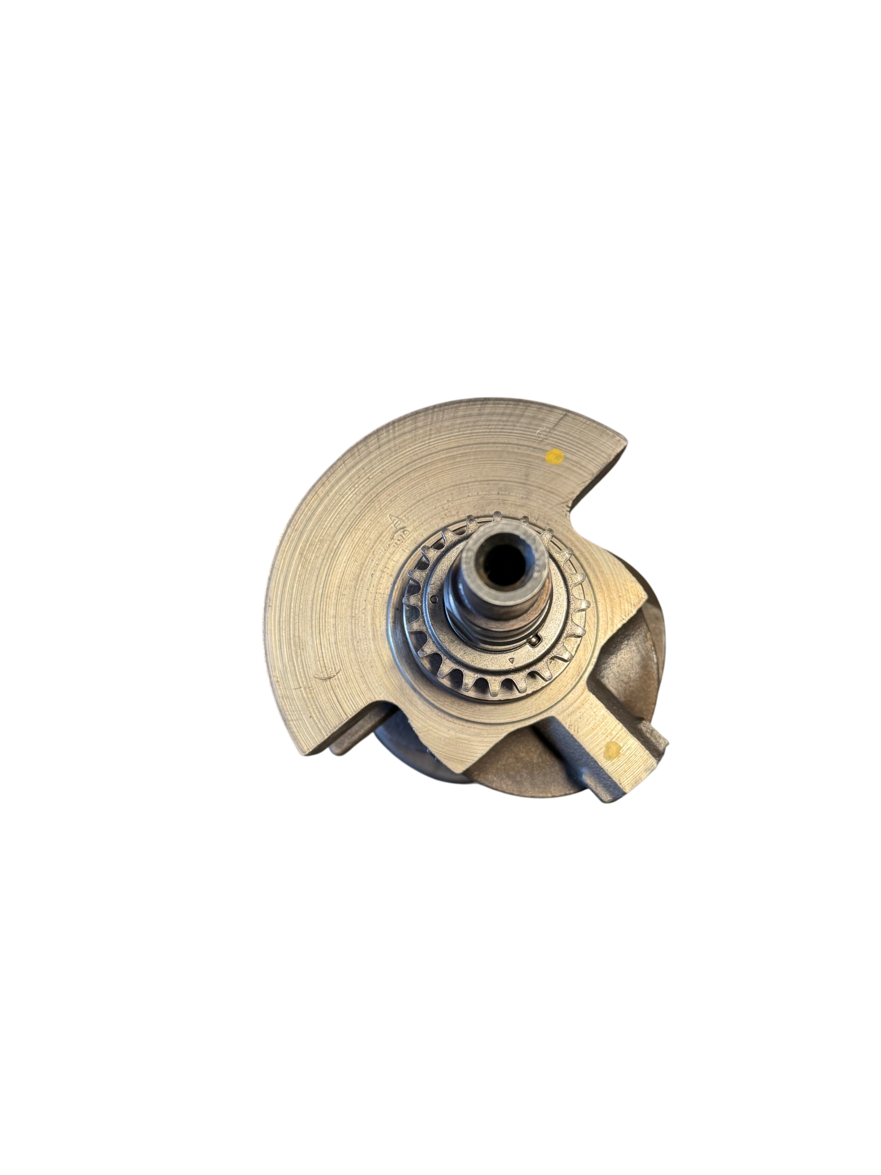 IMG_5967-Photoroom.png