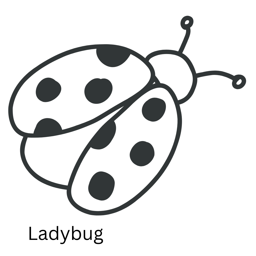 blanket ladybug.png