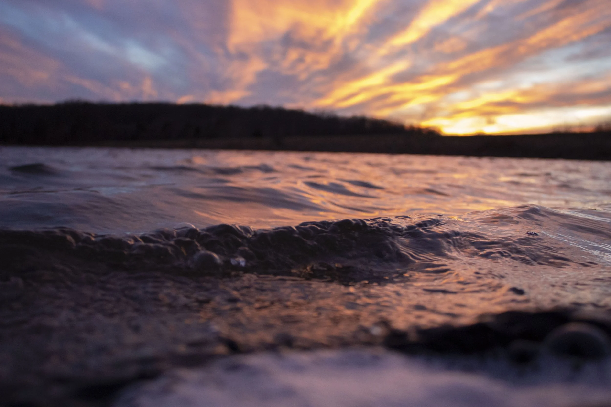 August A. Busch Memorial Conservation Area