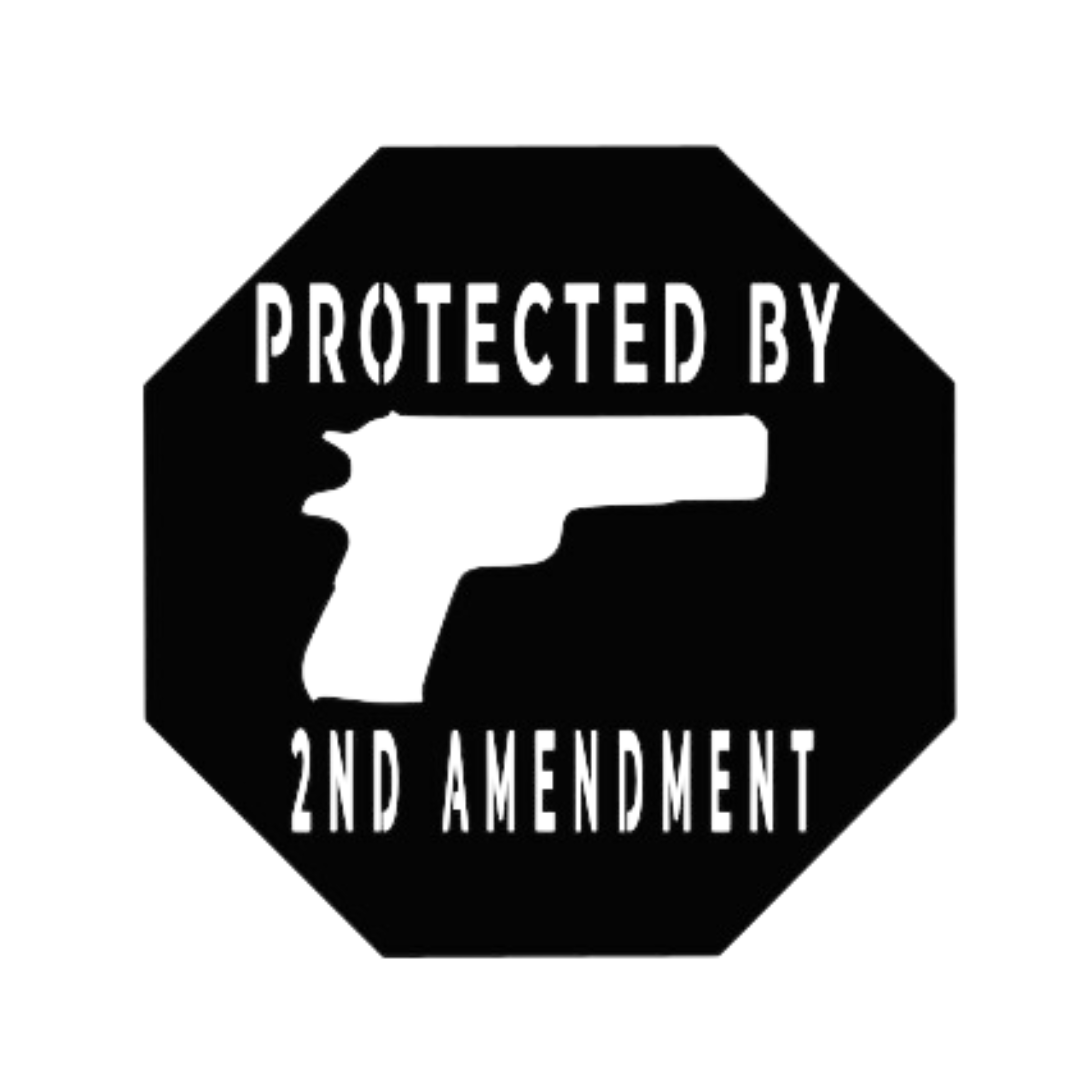 "Second Amendment Sentinel" Wall Art