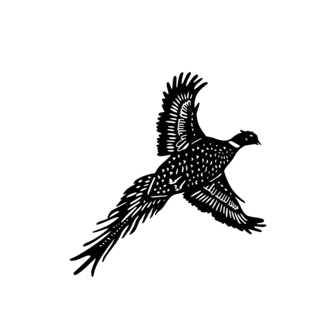 Pheasant Bird Wall Art