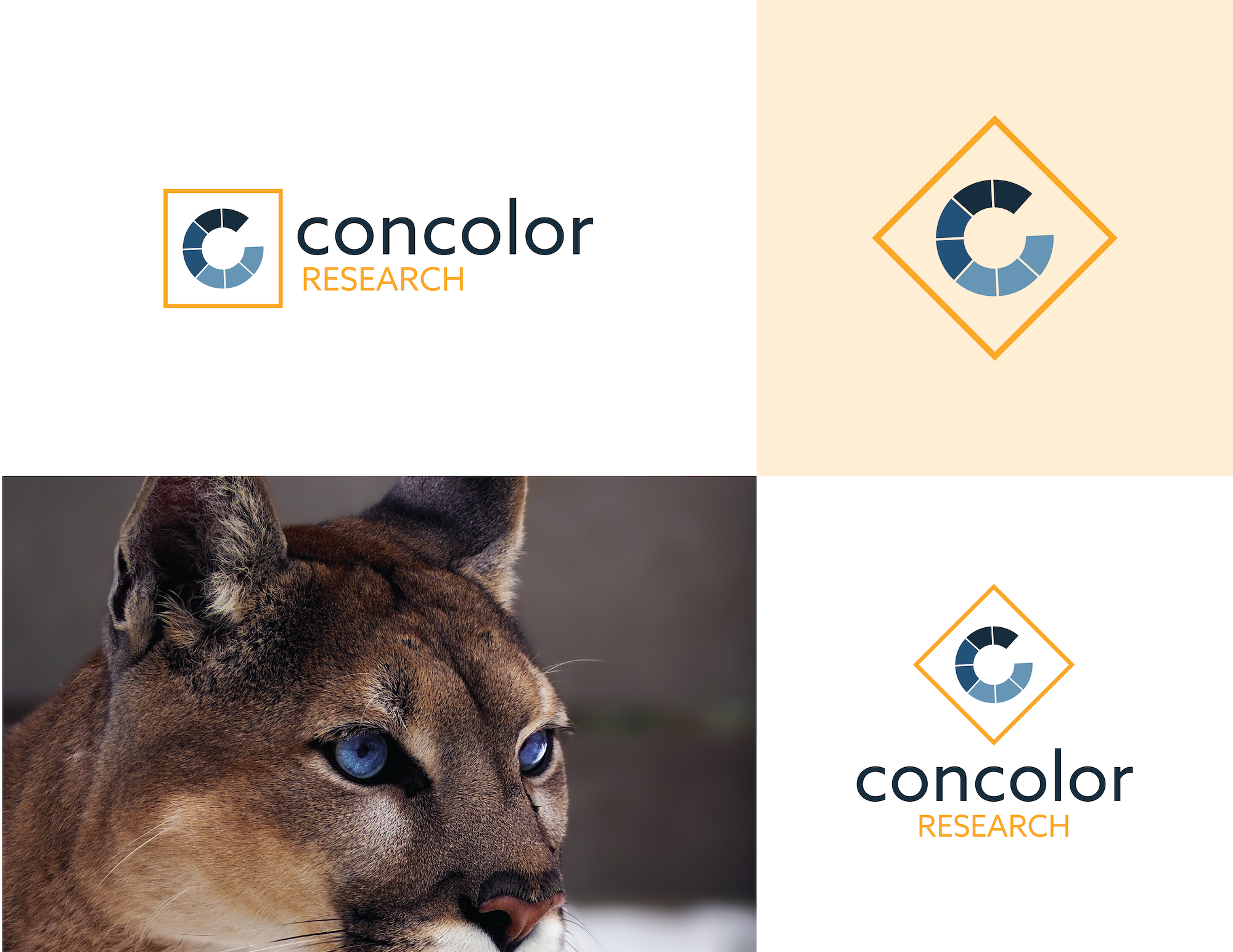 Concolor Research