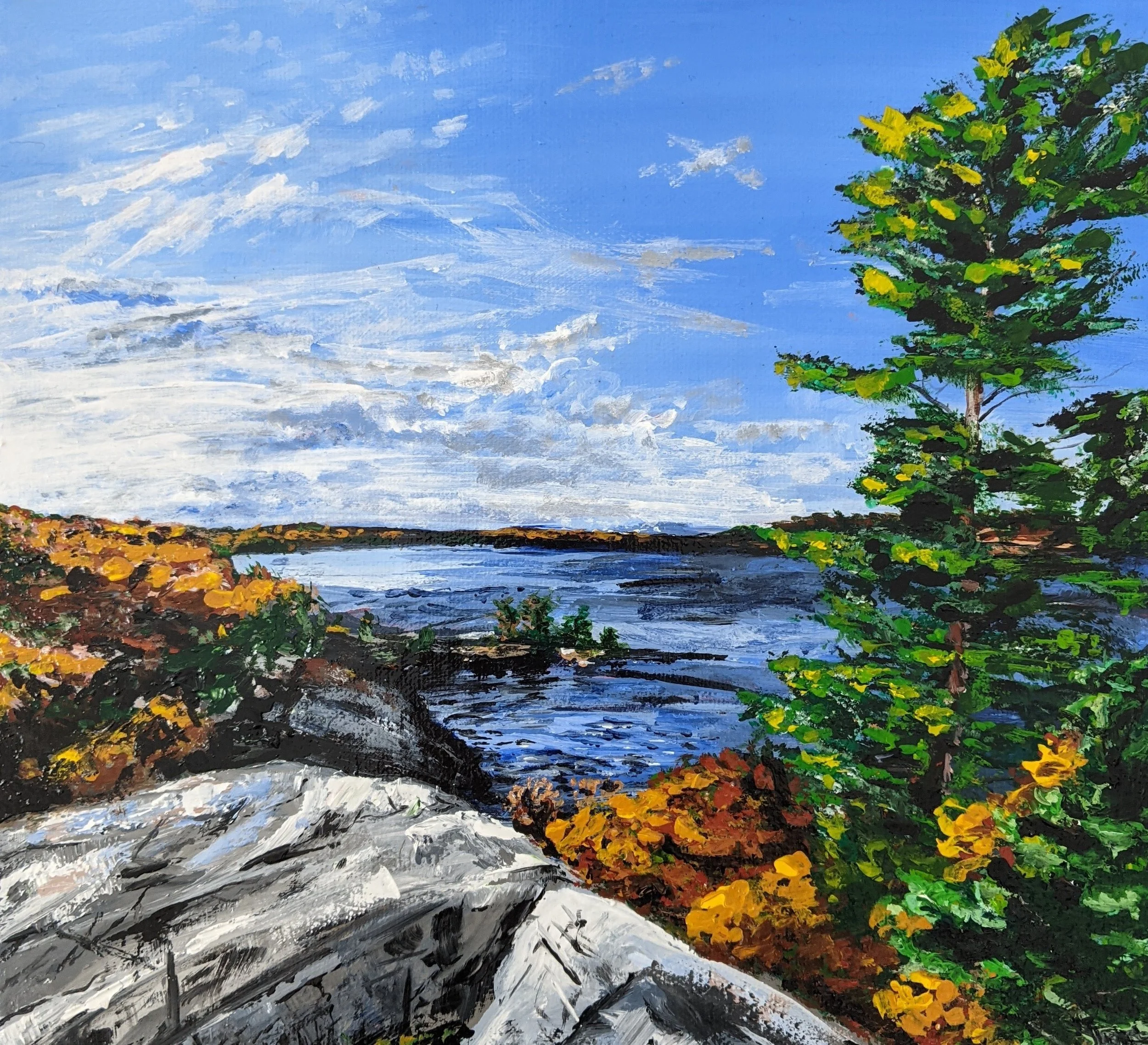 Cliff View 2022.jpg