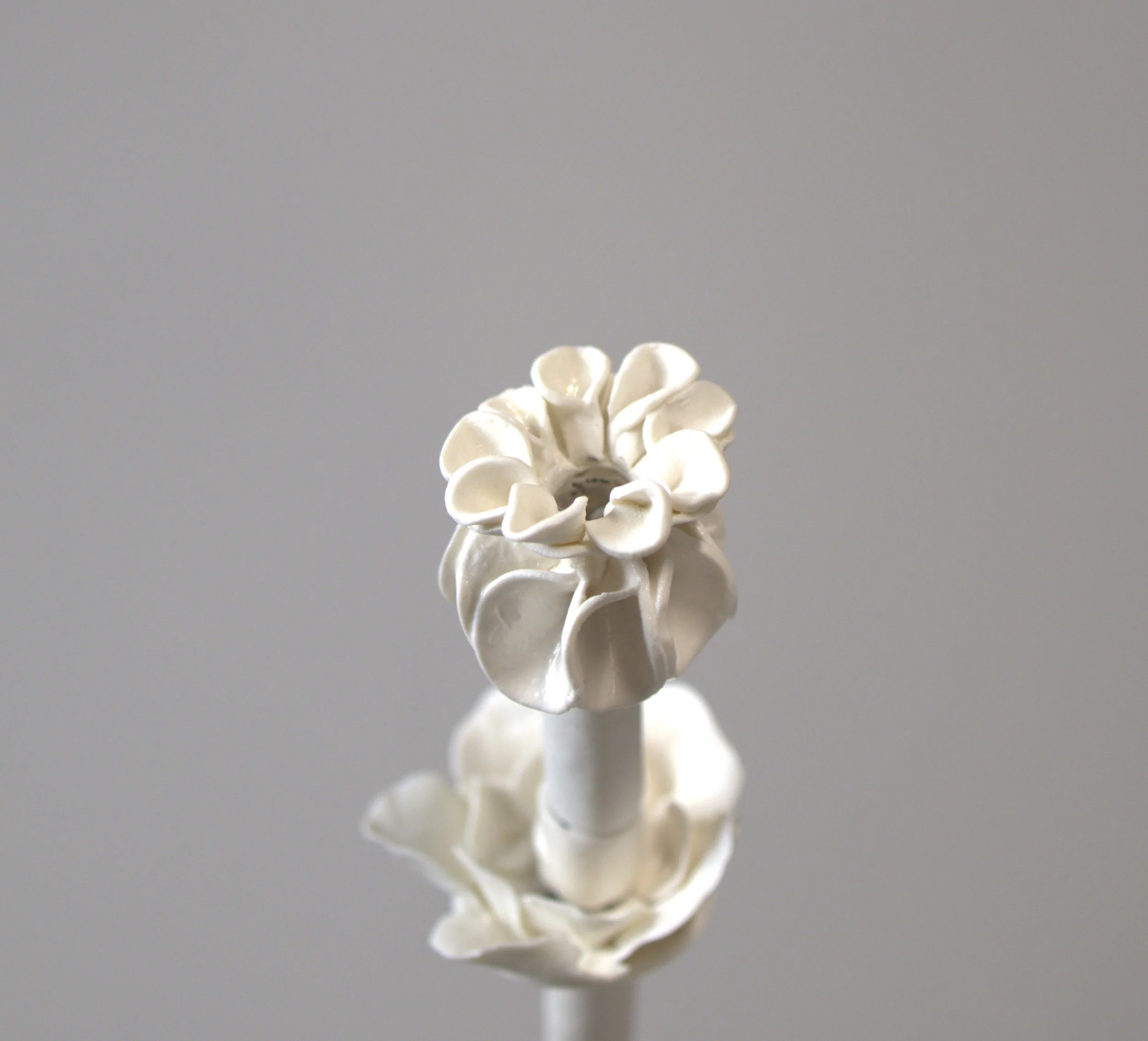 MichelleBenson_Soul Growth_2026 6.JPG