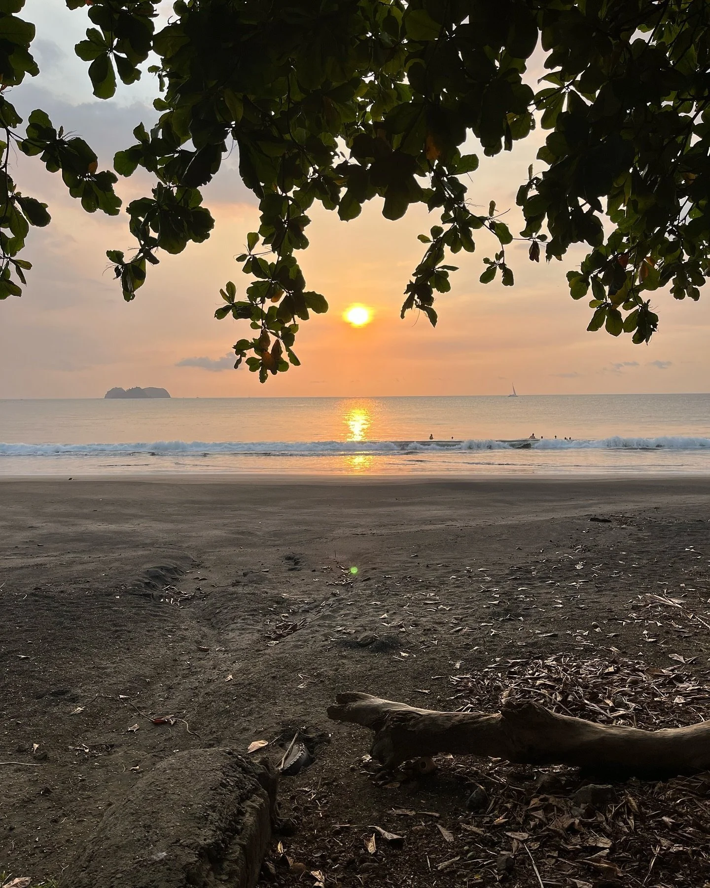 Costa Rica 2024. Pura Vida.

#weouthere
