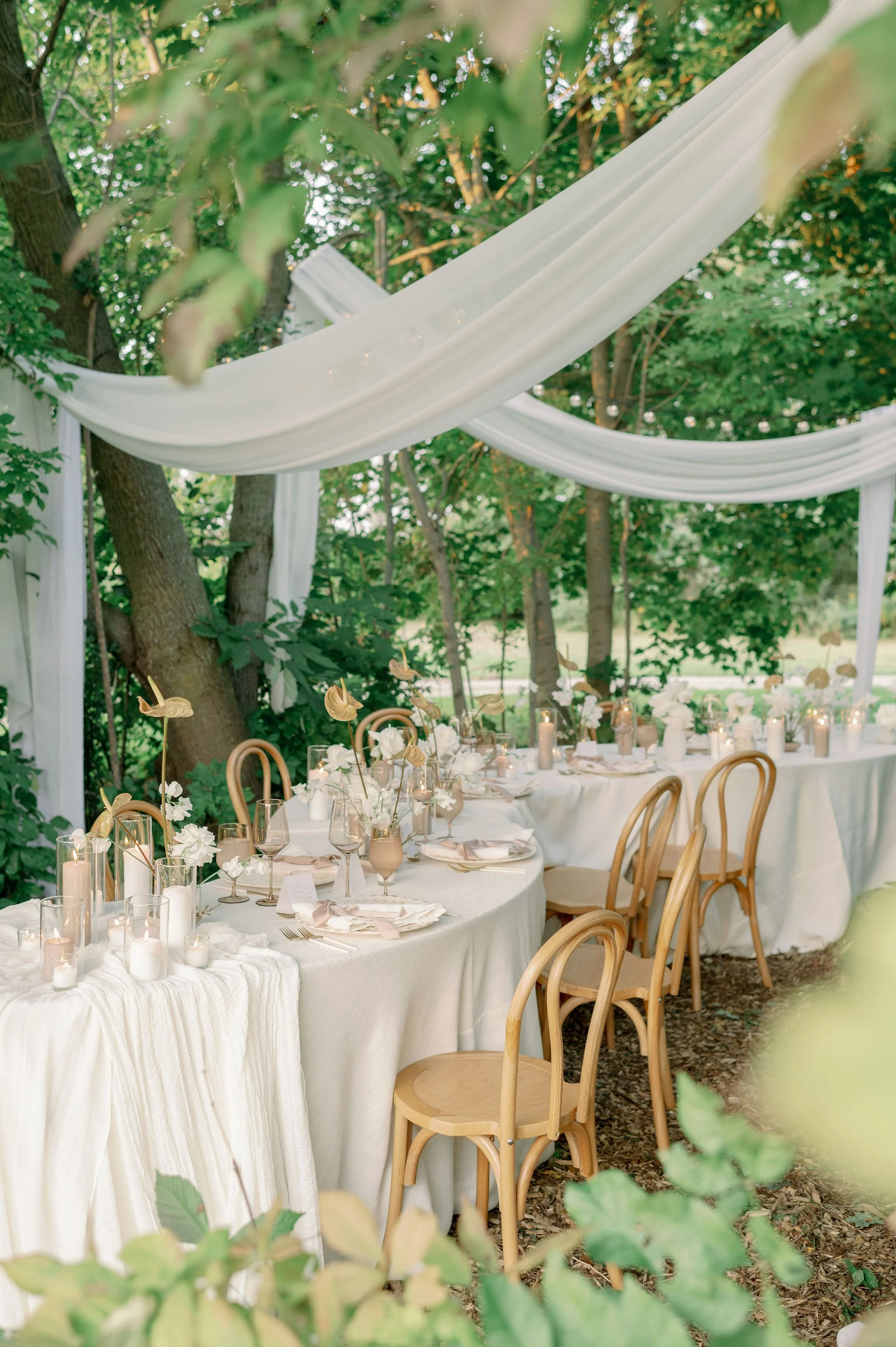 ForeverWildfieldWorkshopDayTwo_EmilyJeanPhotography_GuelphBrandingPhotographer-377.jpg