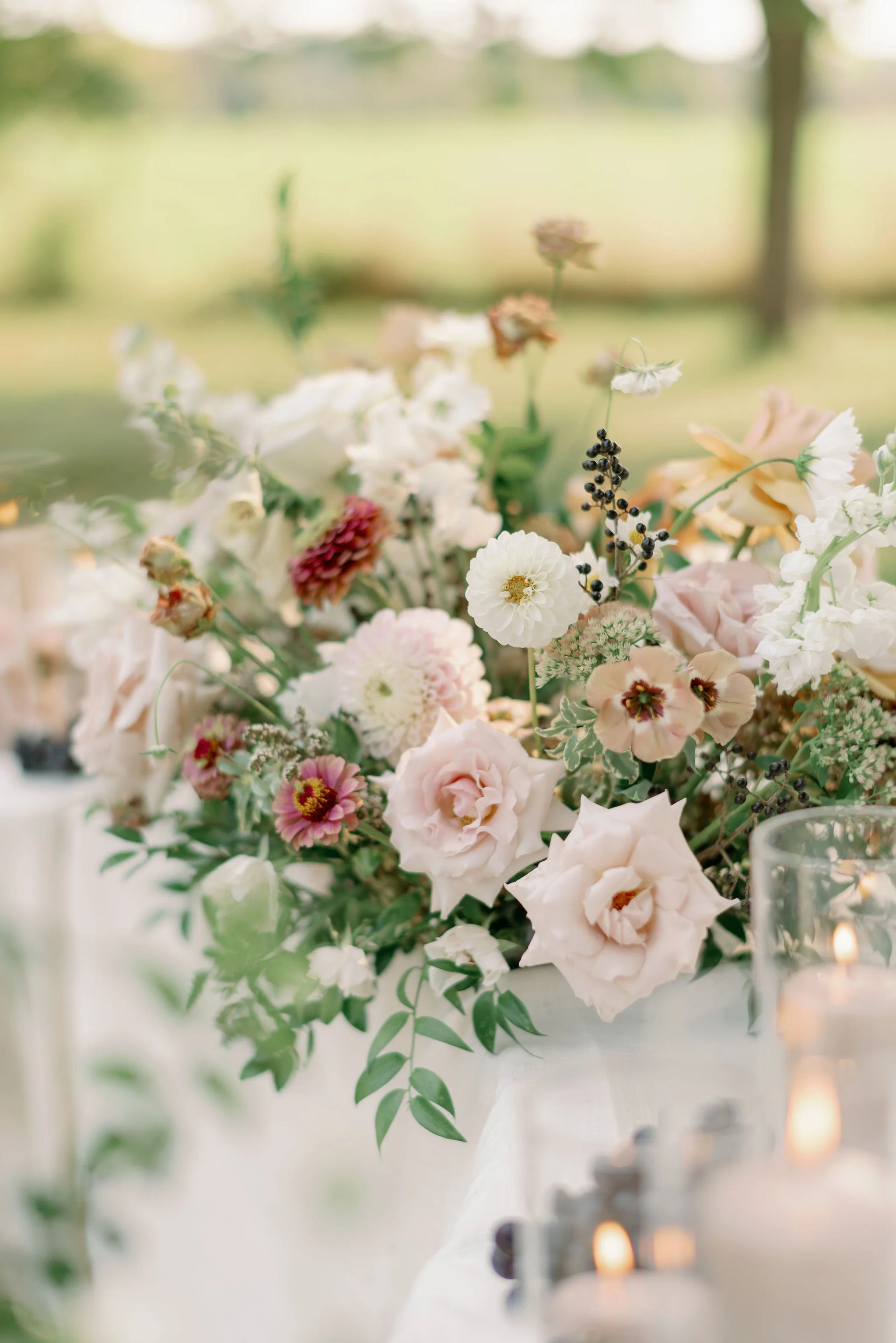 ForeverWildfieldWorkshopDayTwo_EmilyJeanPhotography_GuelphBrandingPhotographer-263.jpg