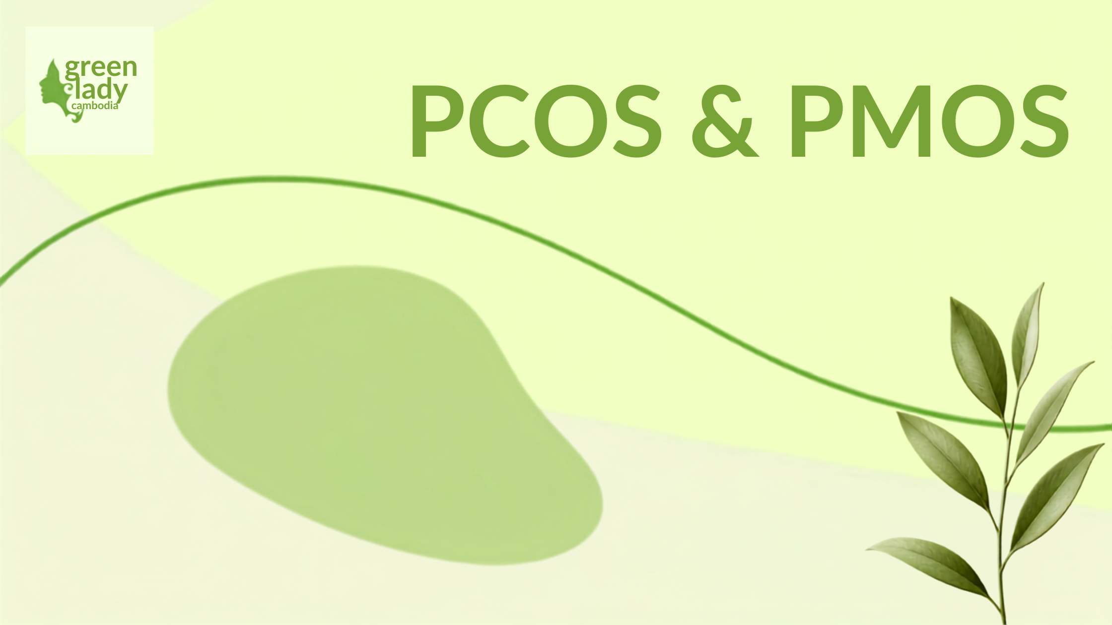 តោះមកយល់ដឹងអំពី PMOS!