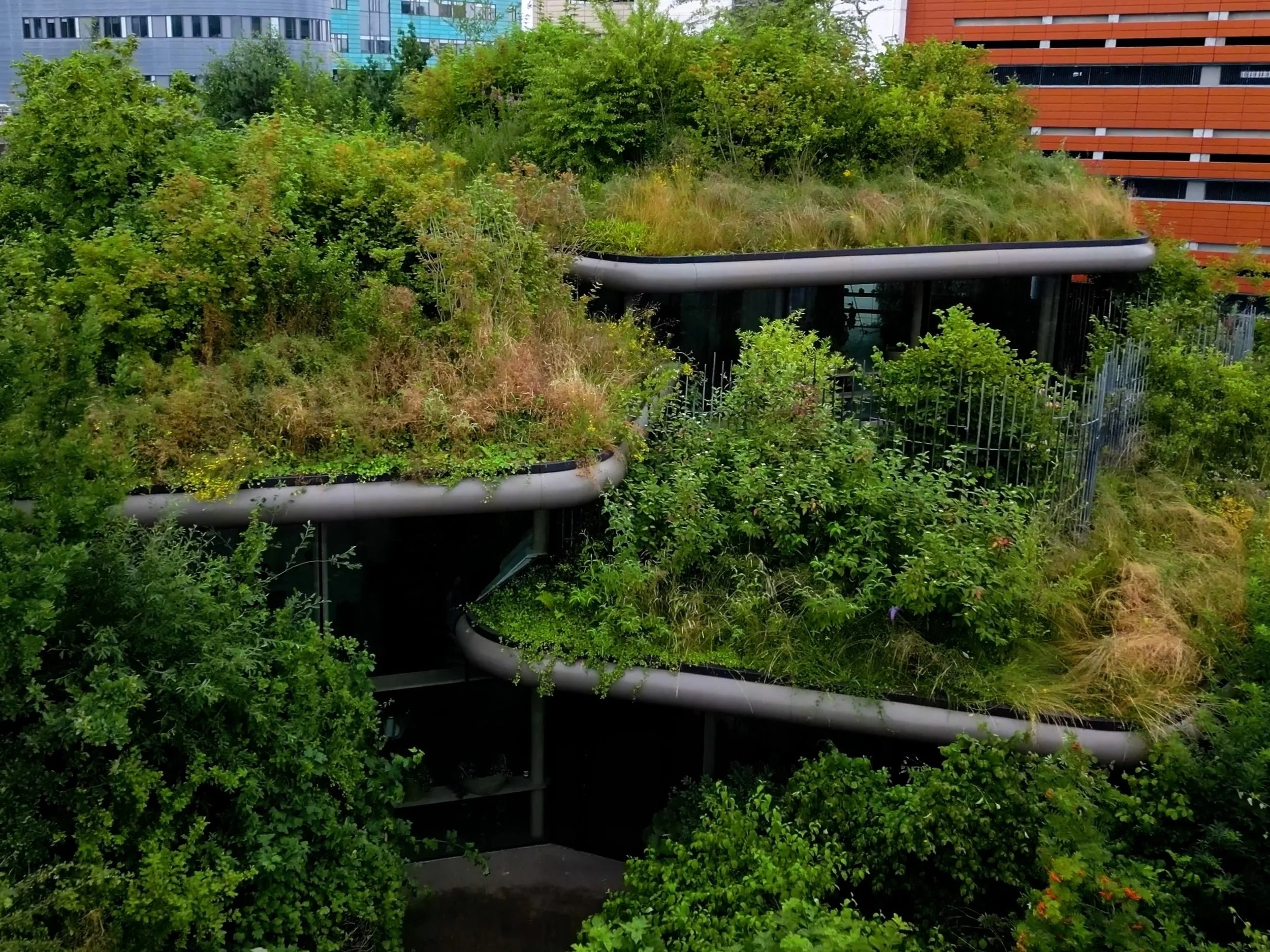 Webinar with Dr. Alan Penn. Can we identify general architectural principles impacting human/animal behavior?